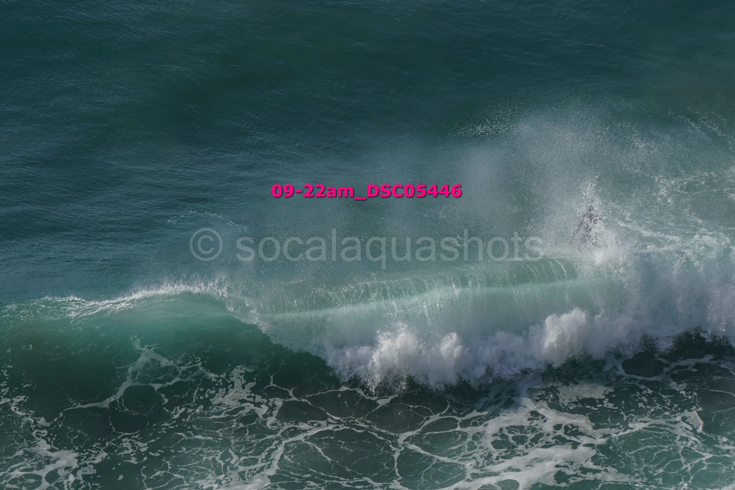Ocean wave crashing with spray and foam.