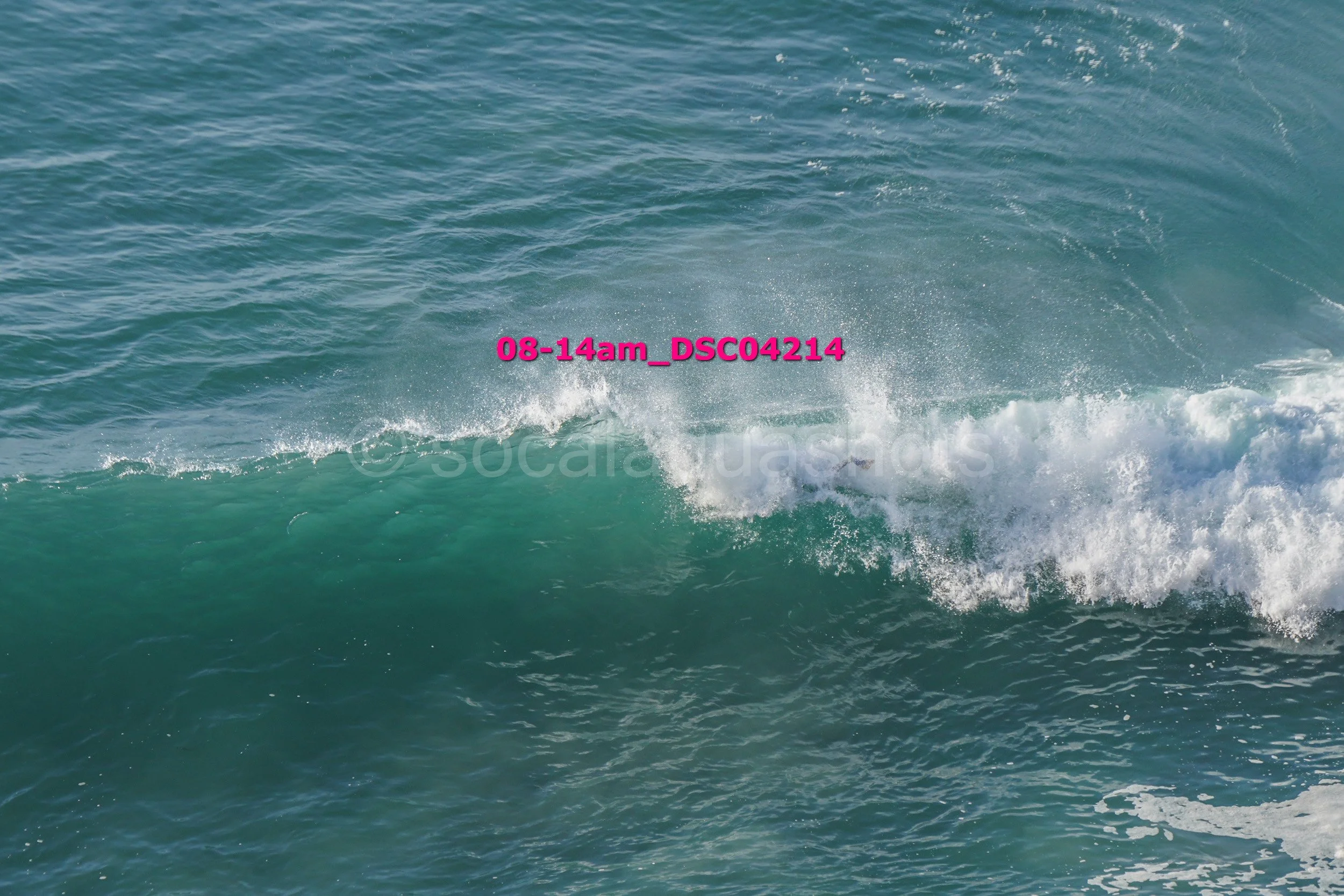 Ocean wave with white foam crest, blue-green water, and a pink timestamp overlay reading '08-14am_DSC04214'.
