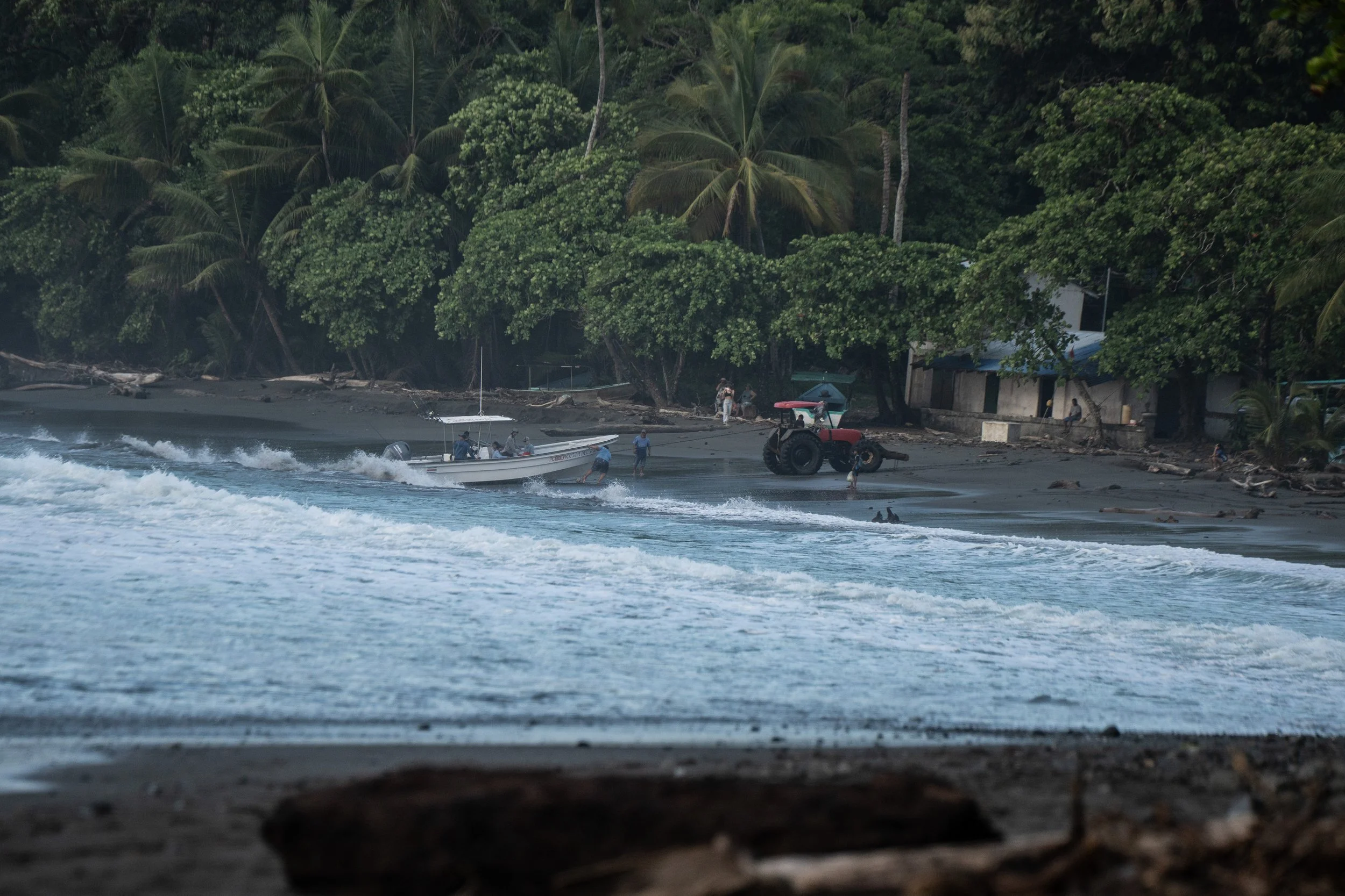 Beach with sand, several people, a boat, and a tractor along the shore, with lush green trees and palm trees in the background.