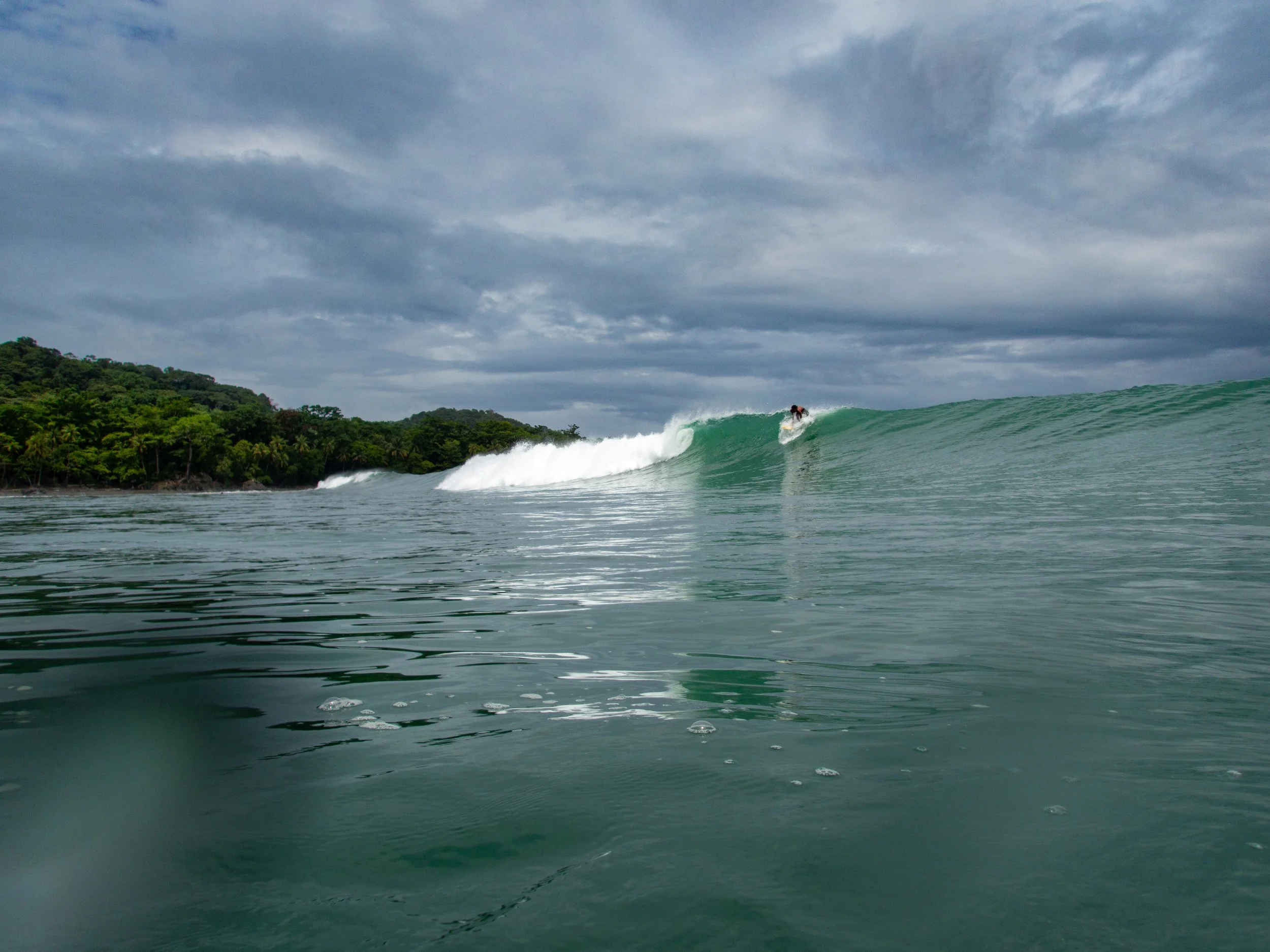Surfer riding a wave near a lush green coastline under a cloudy sky.