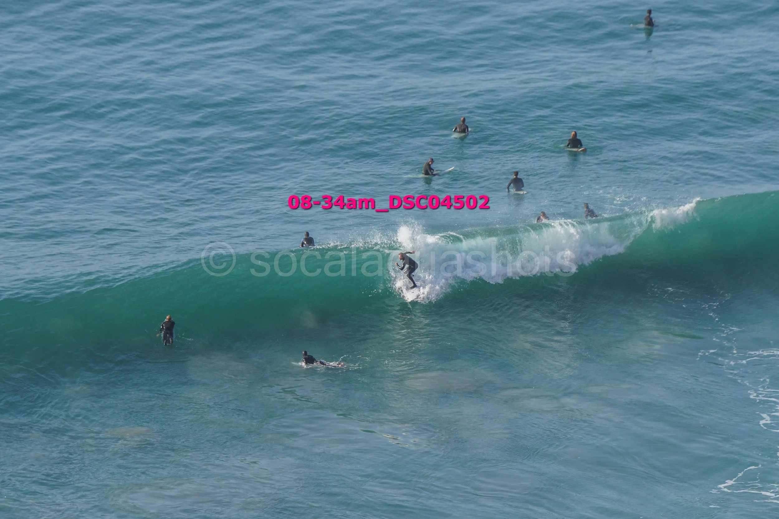 A group of people in wetsuits surfing in the ocean with some standing on their surfboards and others riding the waves.