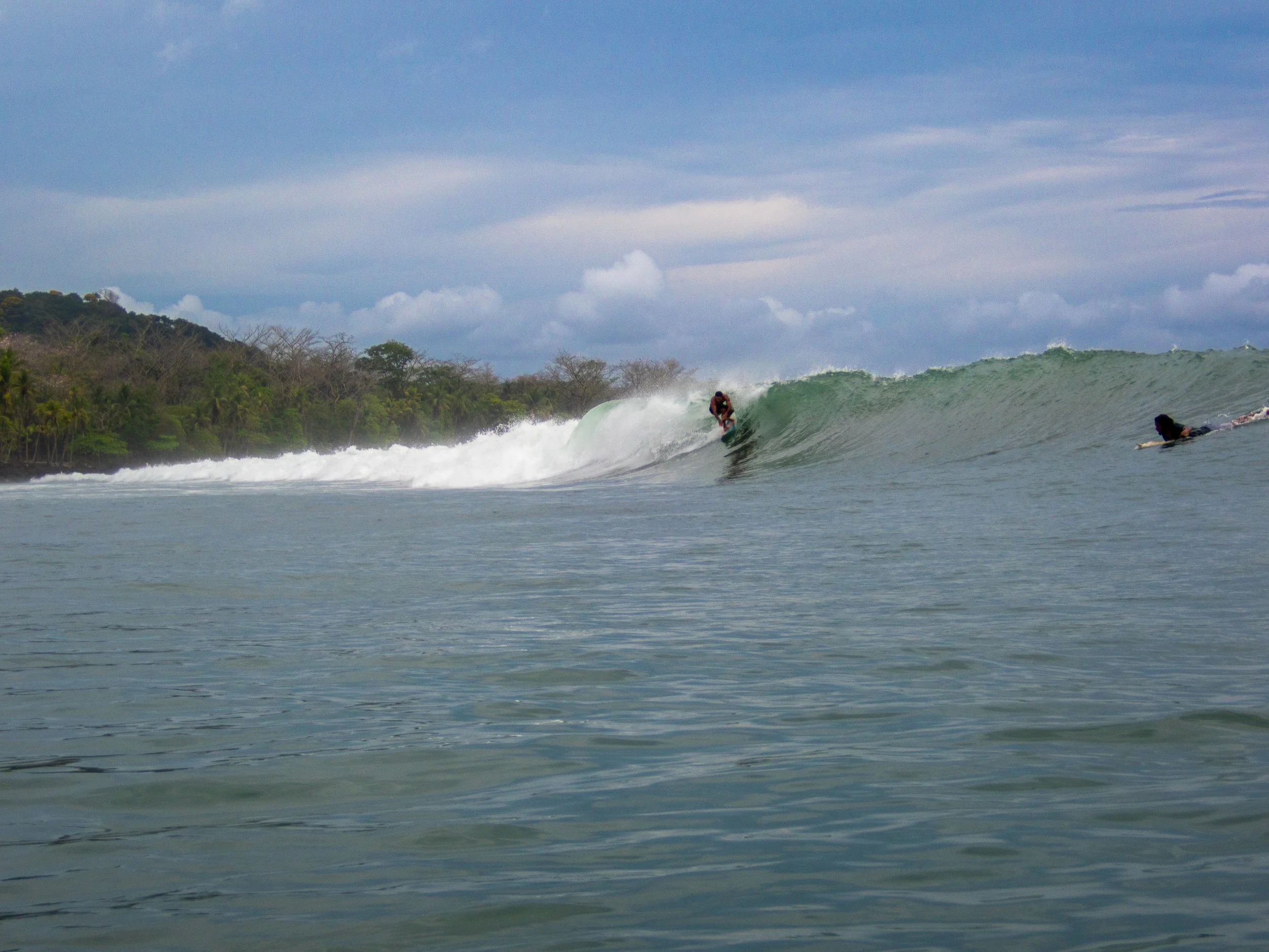 Surfer riding a wave in tropical ocean with forested coastline in background.