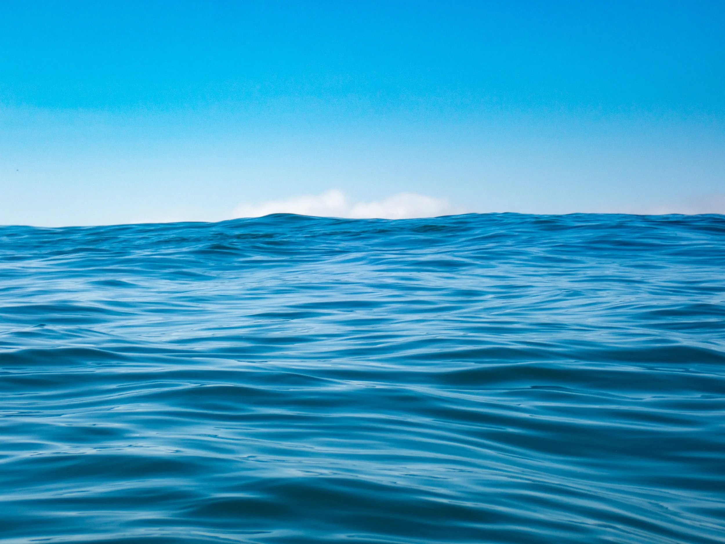 The ocean with gentle waves and a clear blue sky.