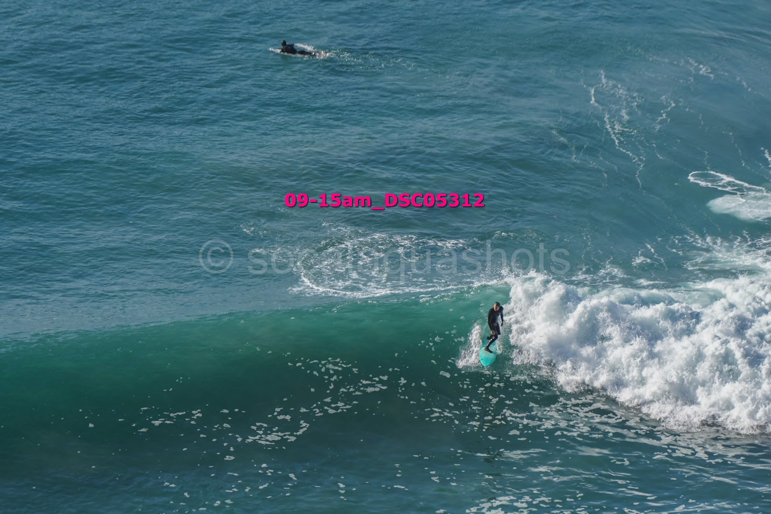A person surfing on a wave in the ocean, with a dog swimming in the water in the background.