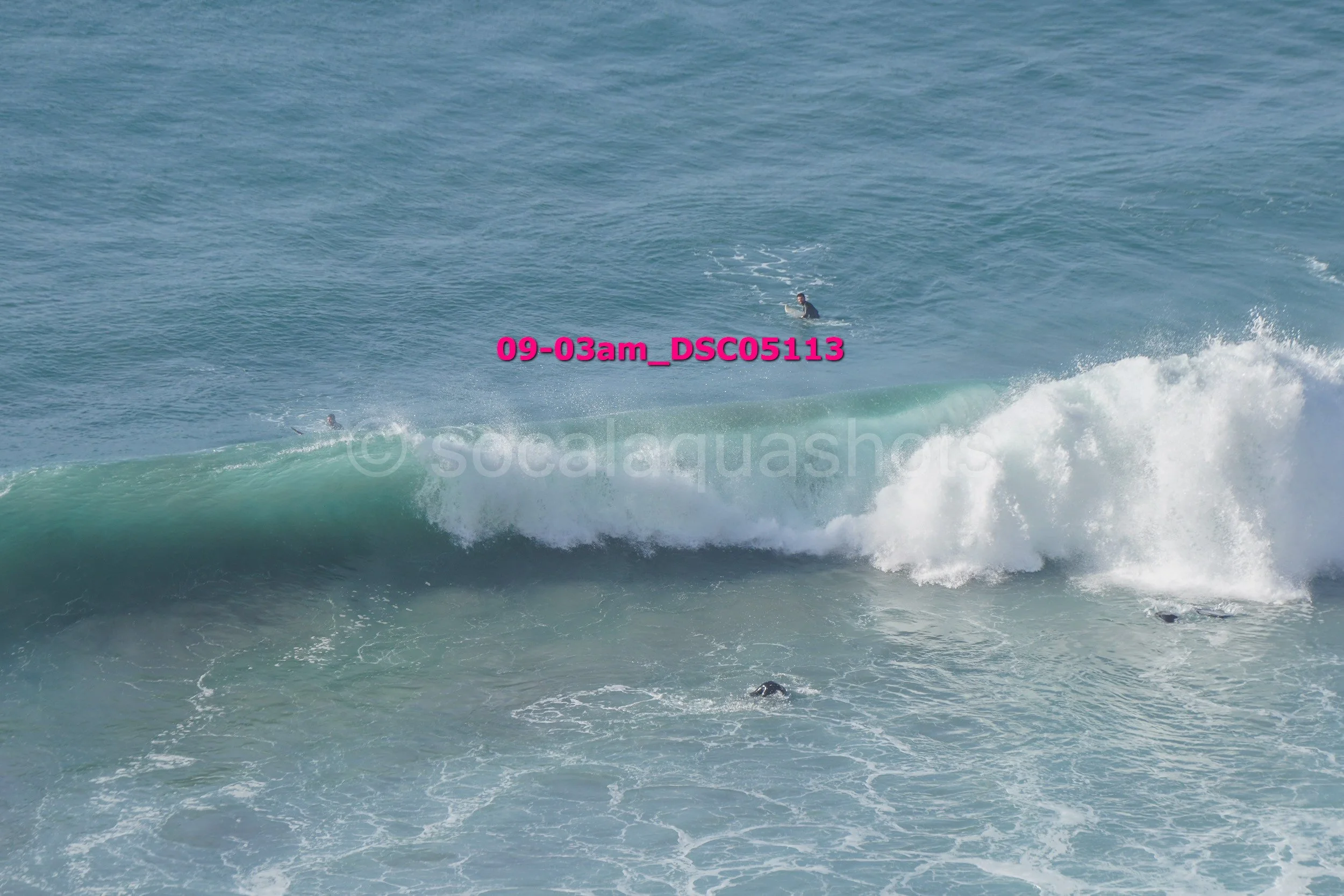 Ocean waves with surfers in the water, some surfacing and others riding a wave.