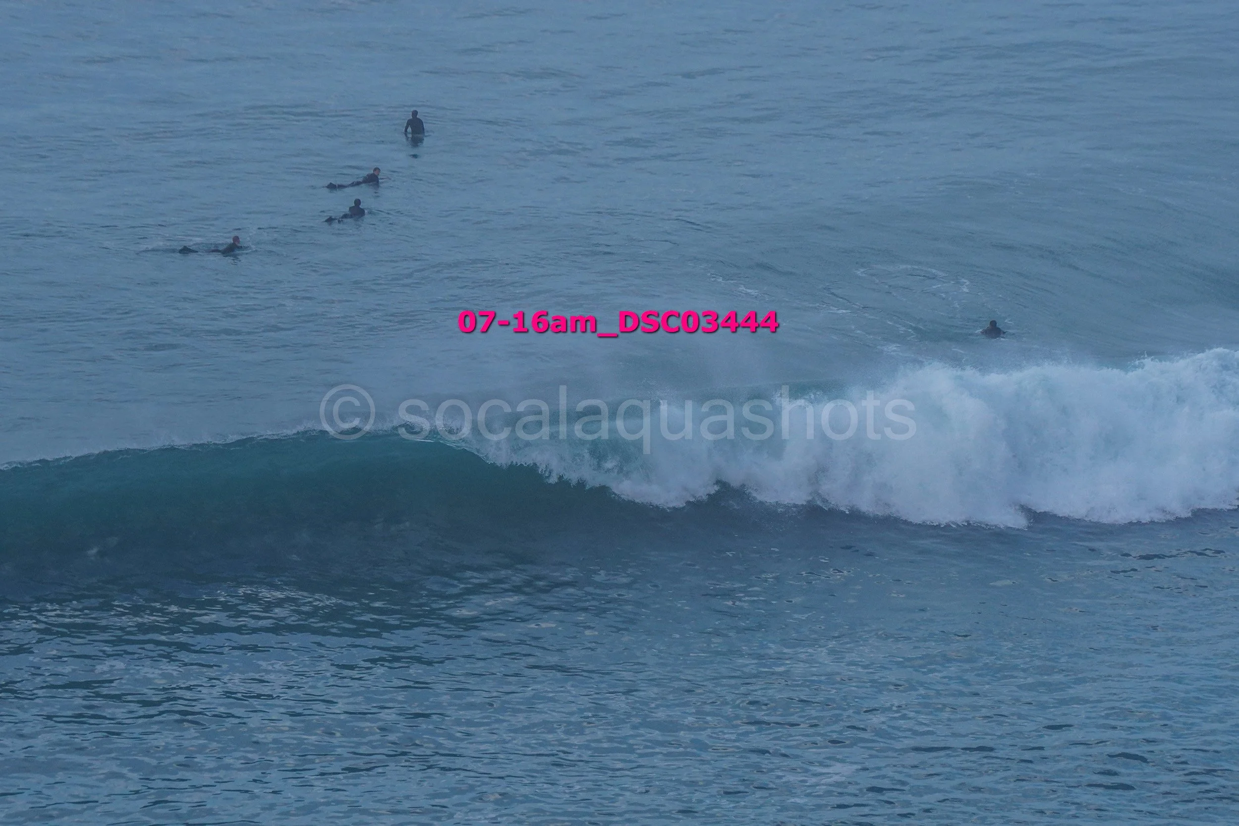 A group of surfers swimming in the ocean near a breaking wave, with some waiting for the surf and one riding the wave.