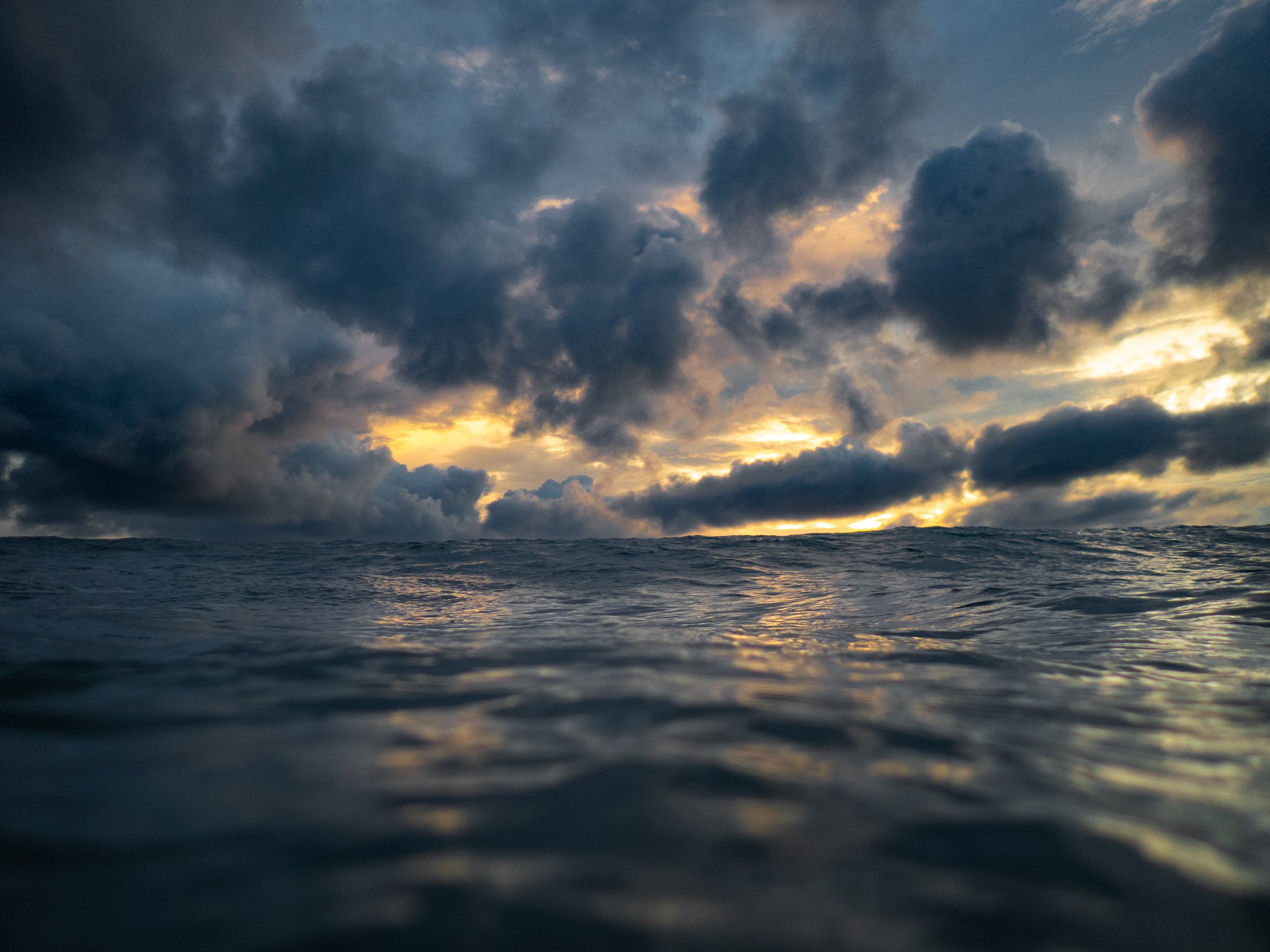 P8202547.jpg