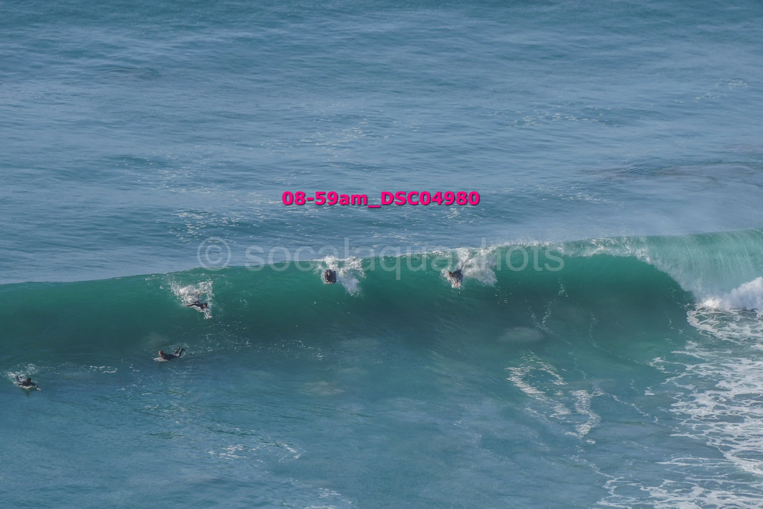 Group of surfers riding a large ocean wave, some falling off, with a blue sea background.