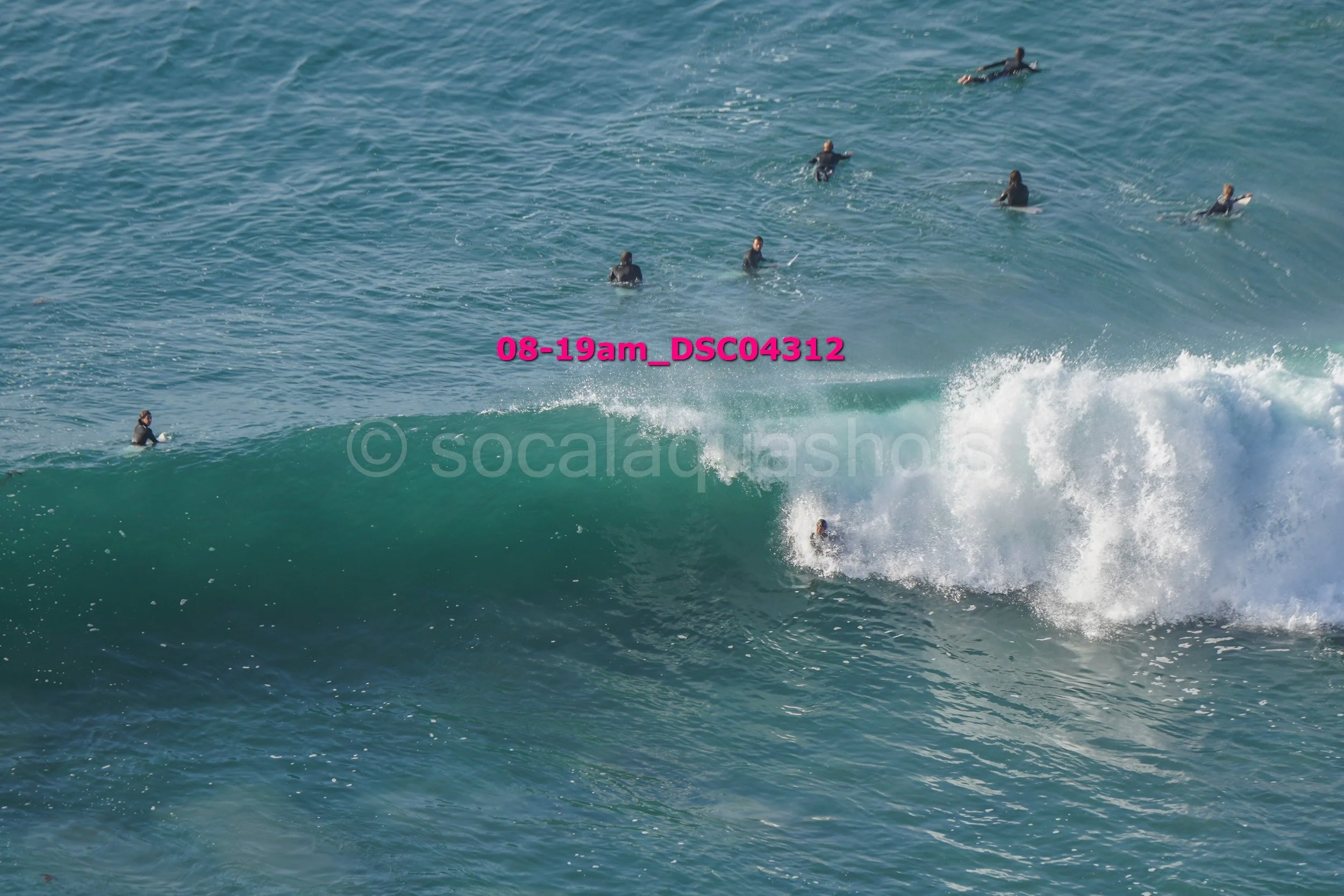 Surfers in the water with one riding a wave, others floating and waiting for waves