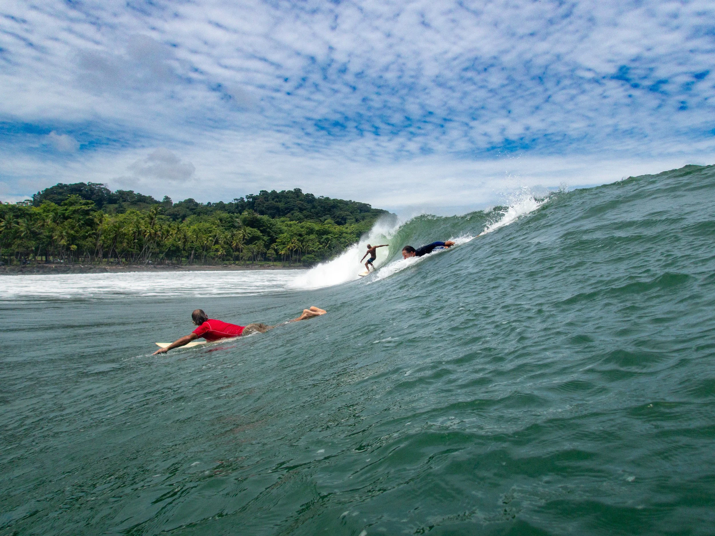 Three surfers on a large wave near a tropical shoreline with palm trees and cloudy sky.