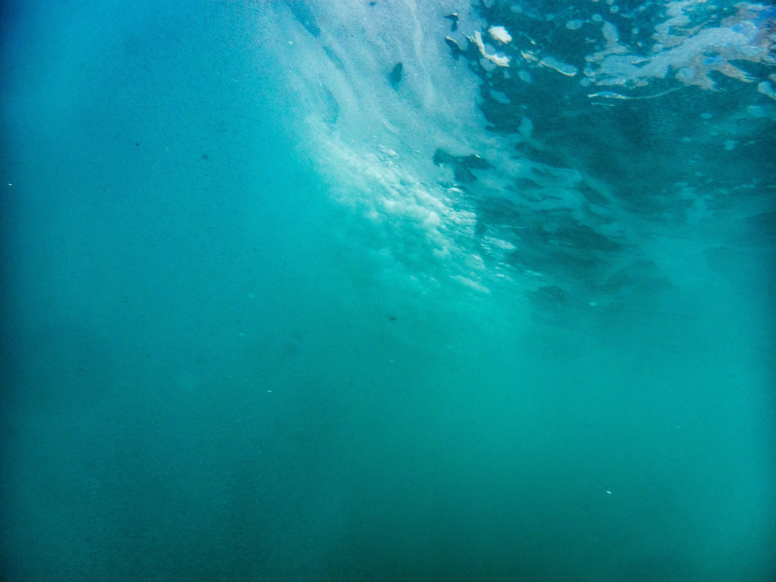 Underwater view showing the surface of the ocean with waves and clear blue water.