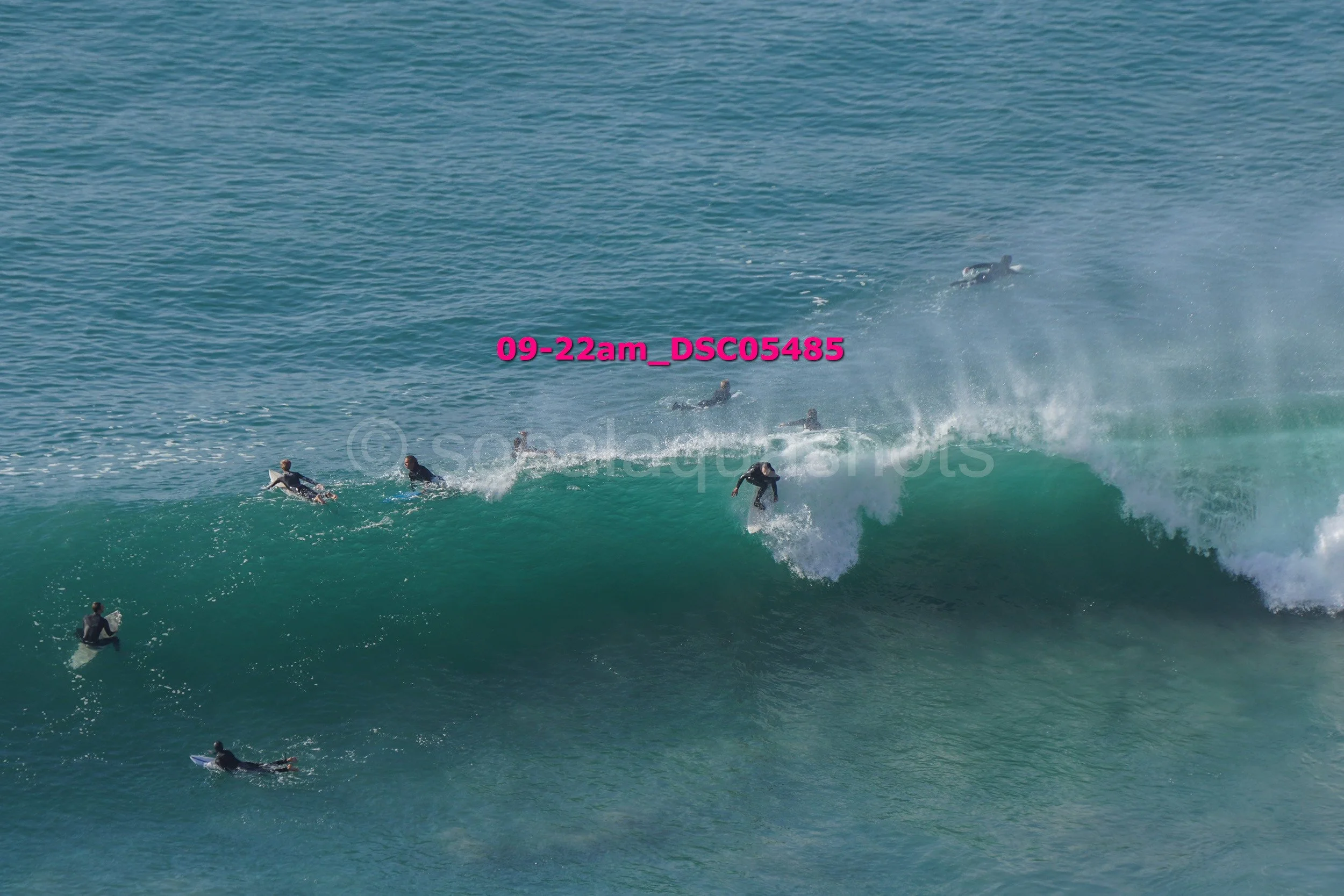 Multiple surfers riding and waiting for waves in the ocean.