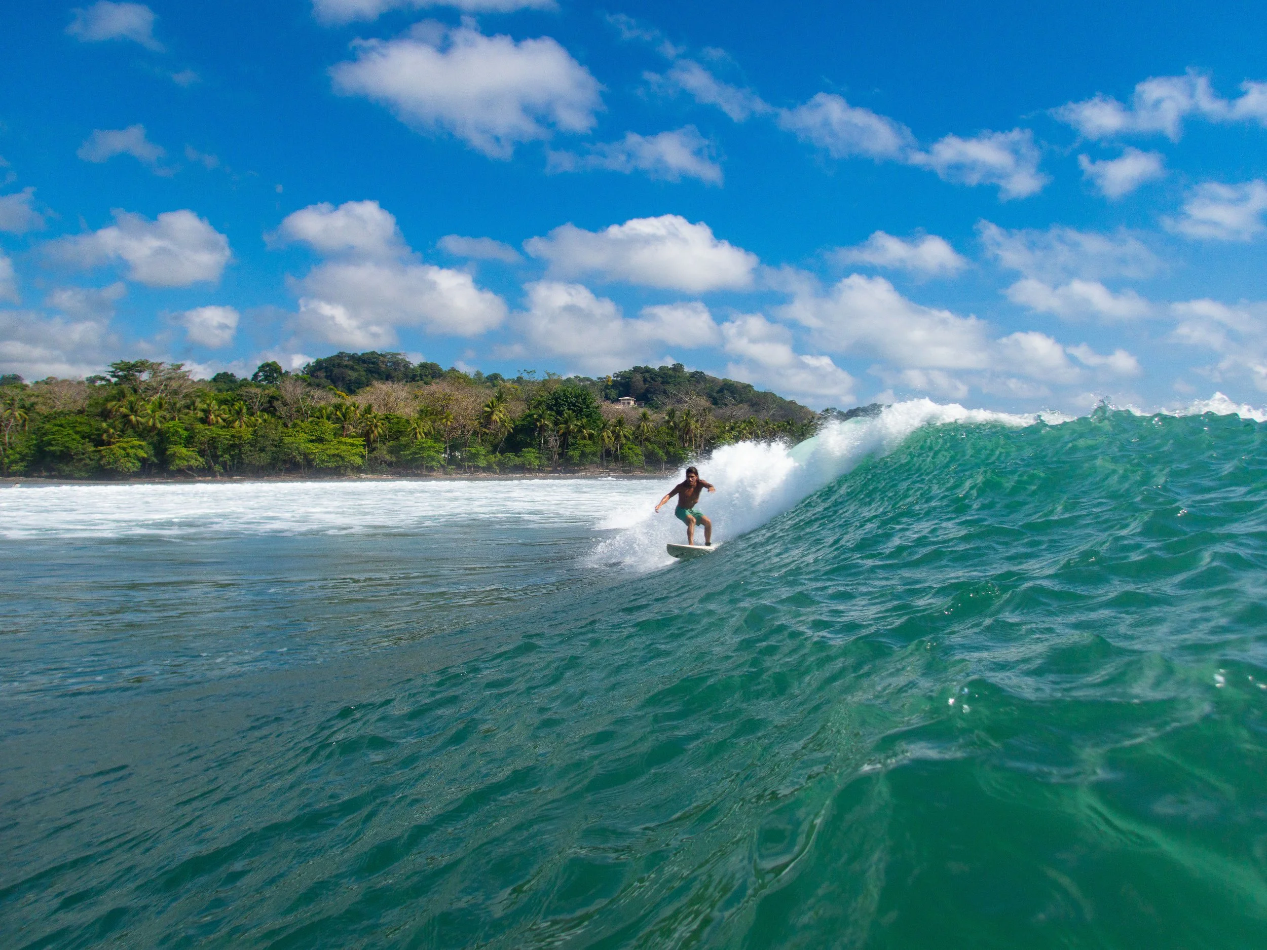 Surfer riding a wave in the ocean with a tropical coastline in the background.