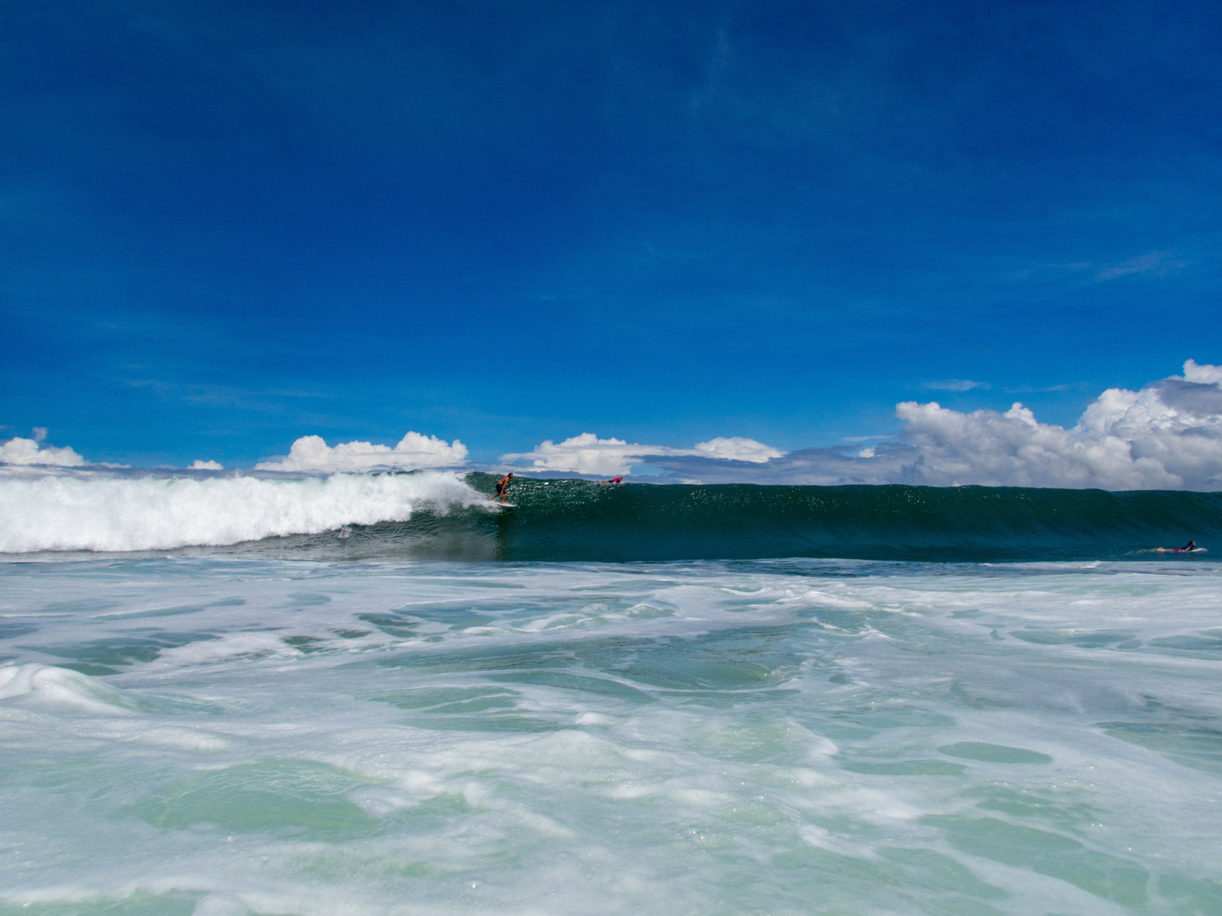 Surfer riding a wave in the ocean under a clear blue sky
