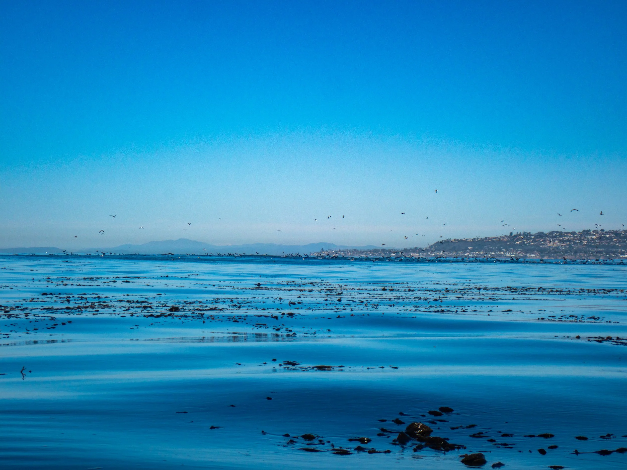 A serene ocean scene with seagulls flying over the water's surface, calm tide pools, and a distant coastline with hills under a clear blue sky.