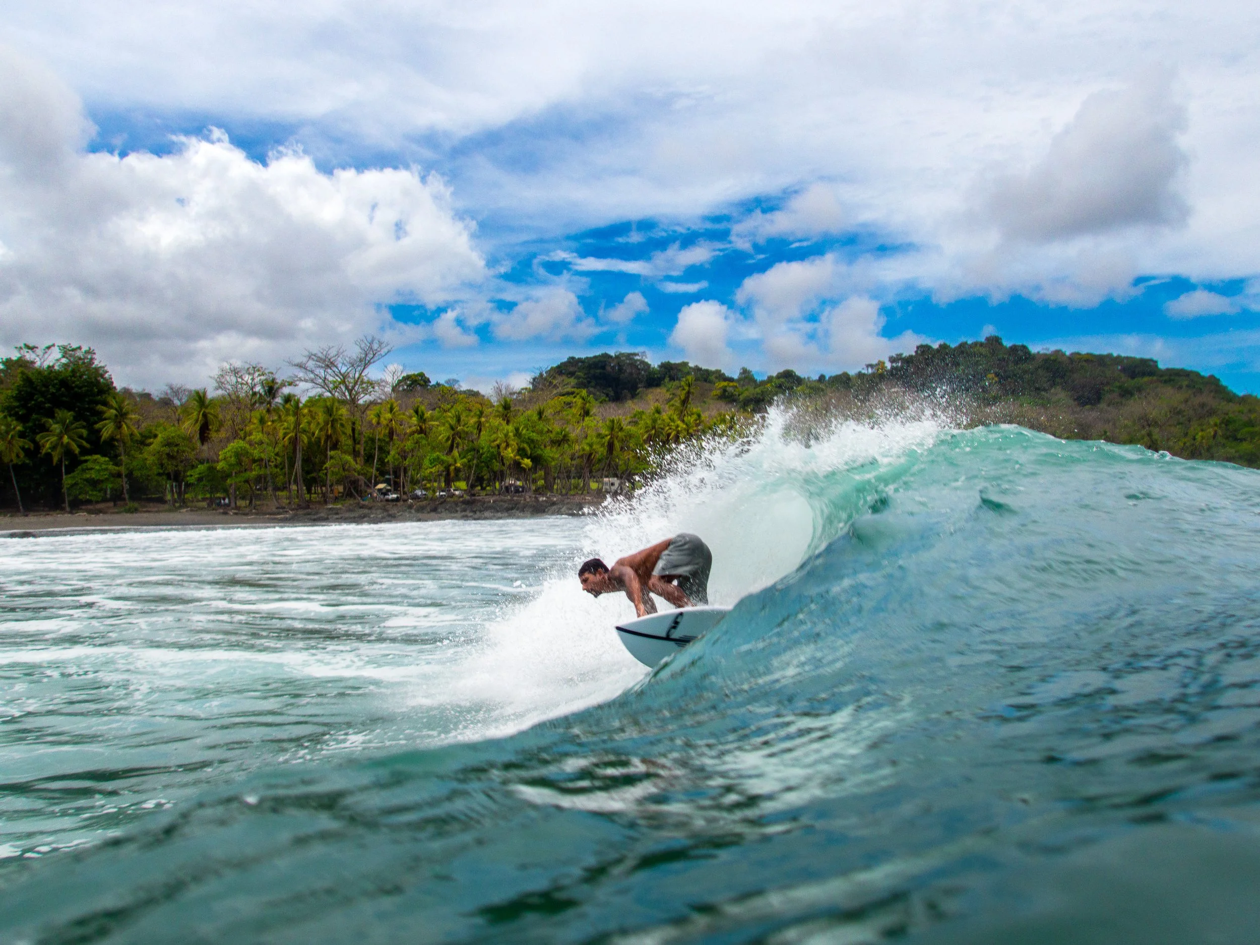 Surfer riding a wave near a tropical beach with palm trees and blue sky.