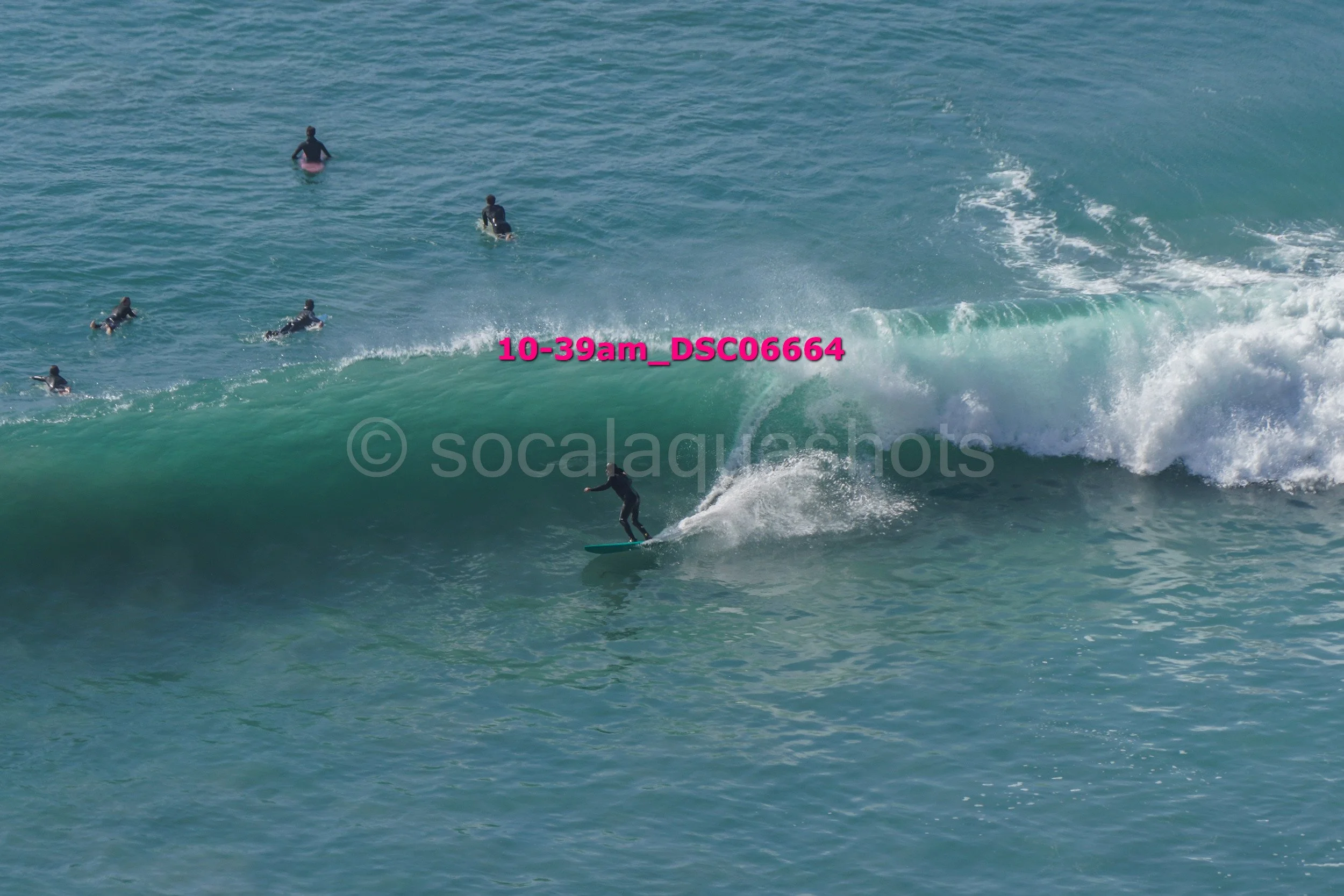 A group of surfers in wetsuits riding and waiting for waves in the ocean.