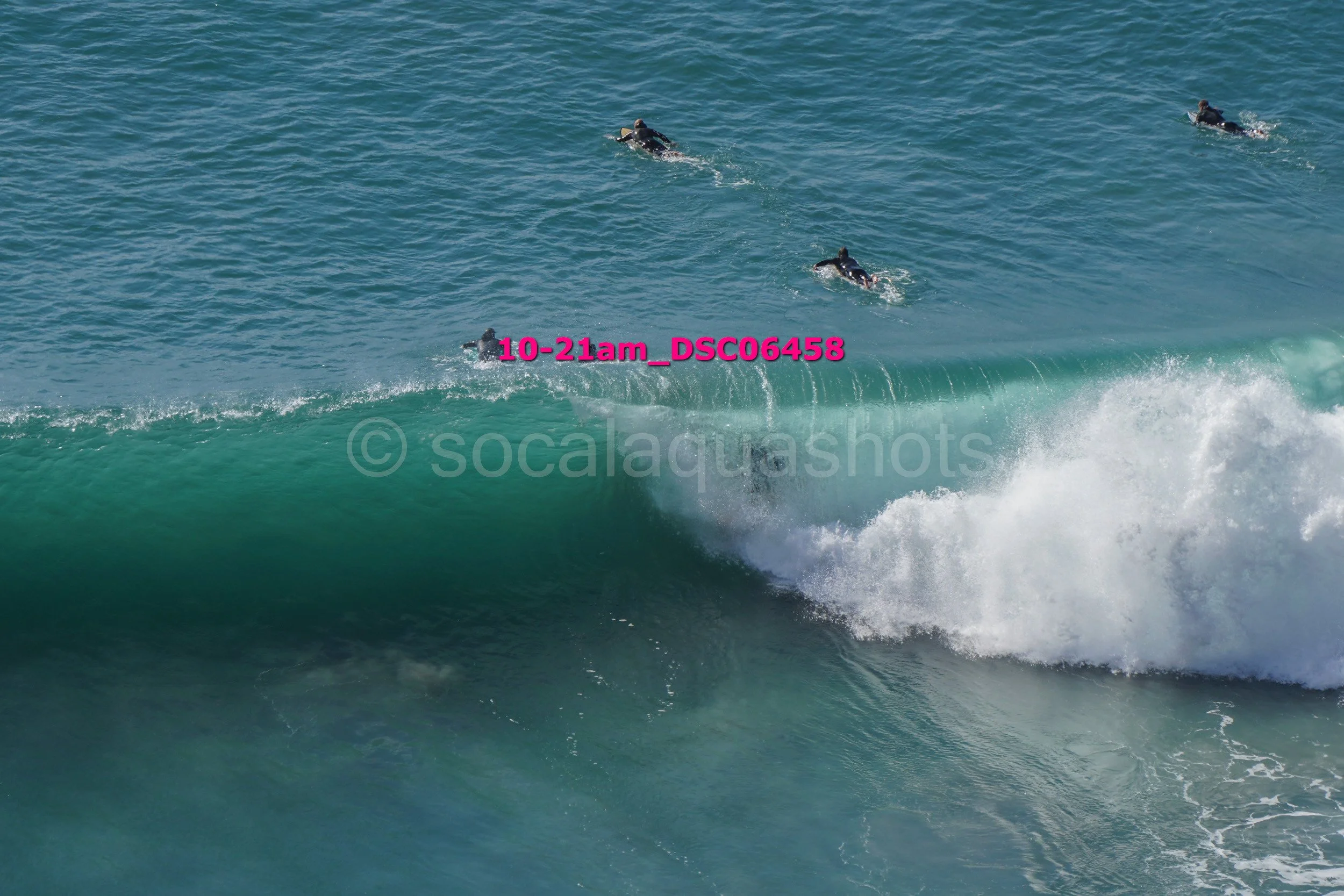 A group of four surfers in wetsuits riding a large ocean wave, some paddling and some standing, with the ocean extending into the distance.