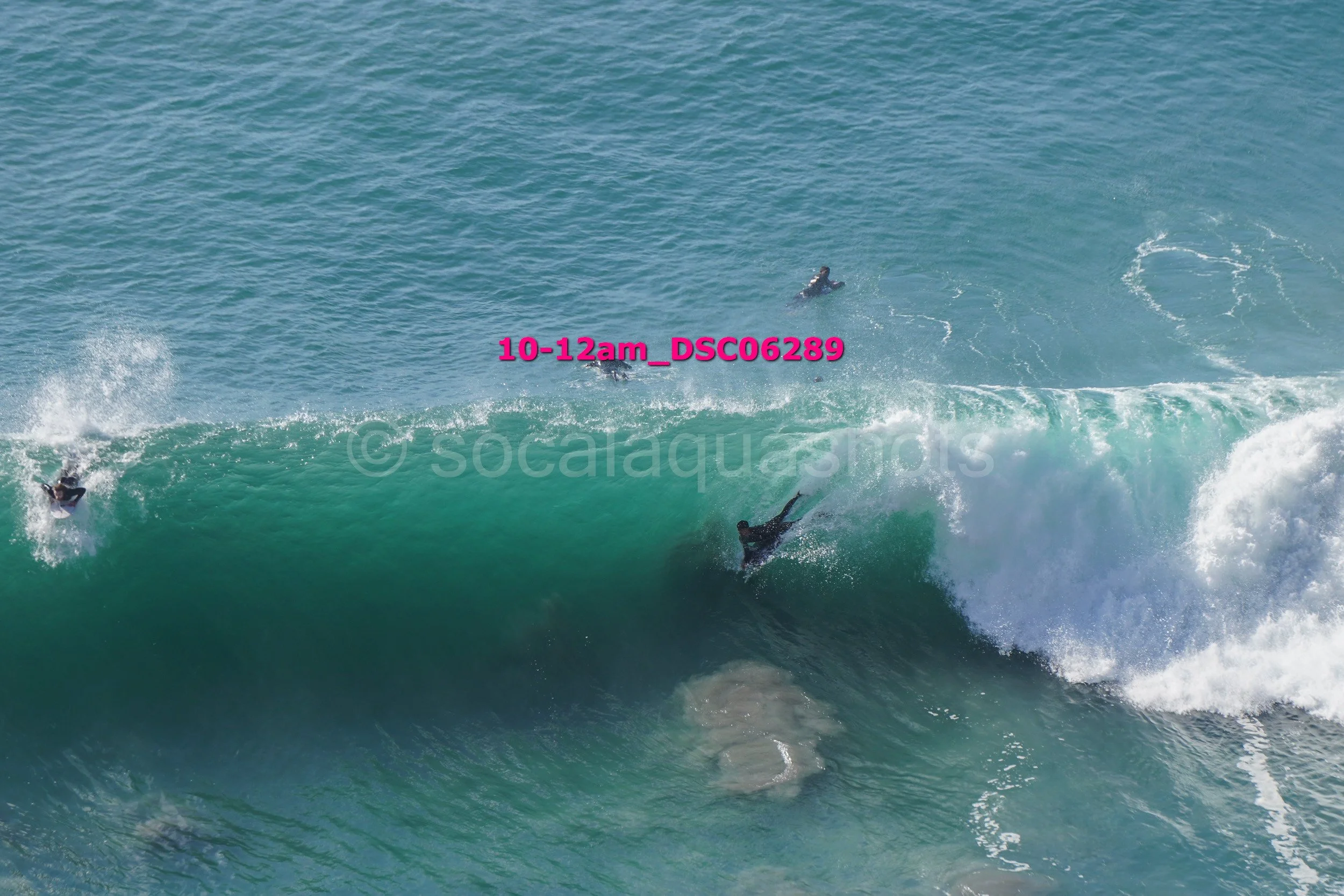A group of surfers in wetsuits riding and swimming in the ocean waves.