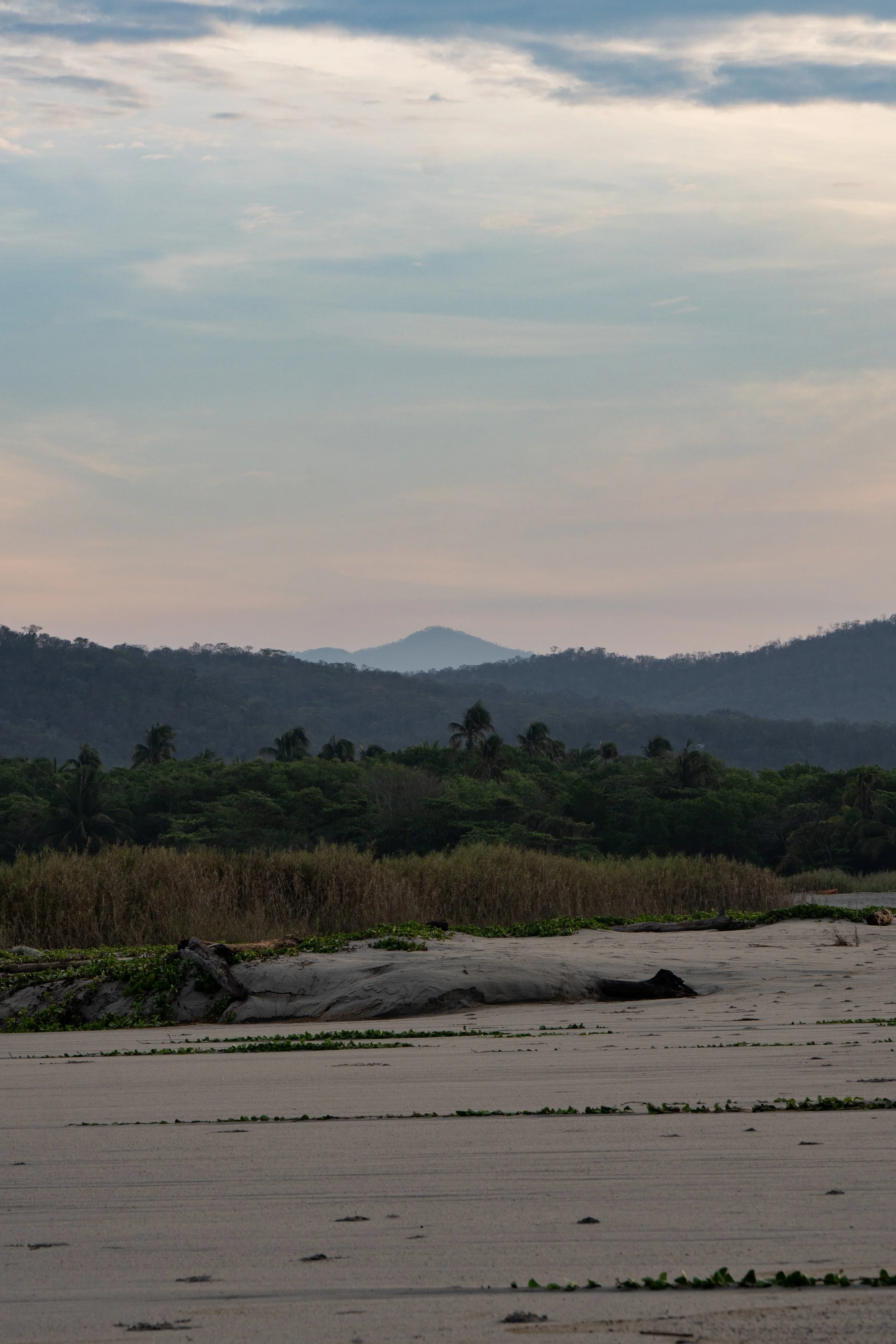 A sandy beach with sparse vegetation in the foreground, dense greenery and trees in the middle ground, and mountains under a cloudy sky in the background.