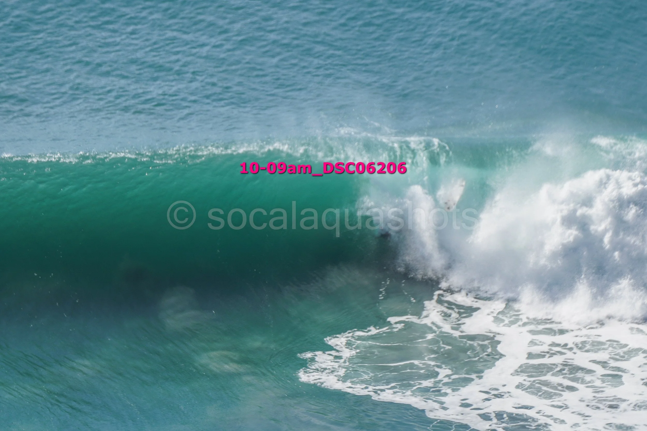 A large ocean wave breaking with white foam, with clear blue water in the background.
