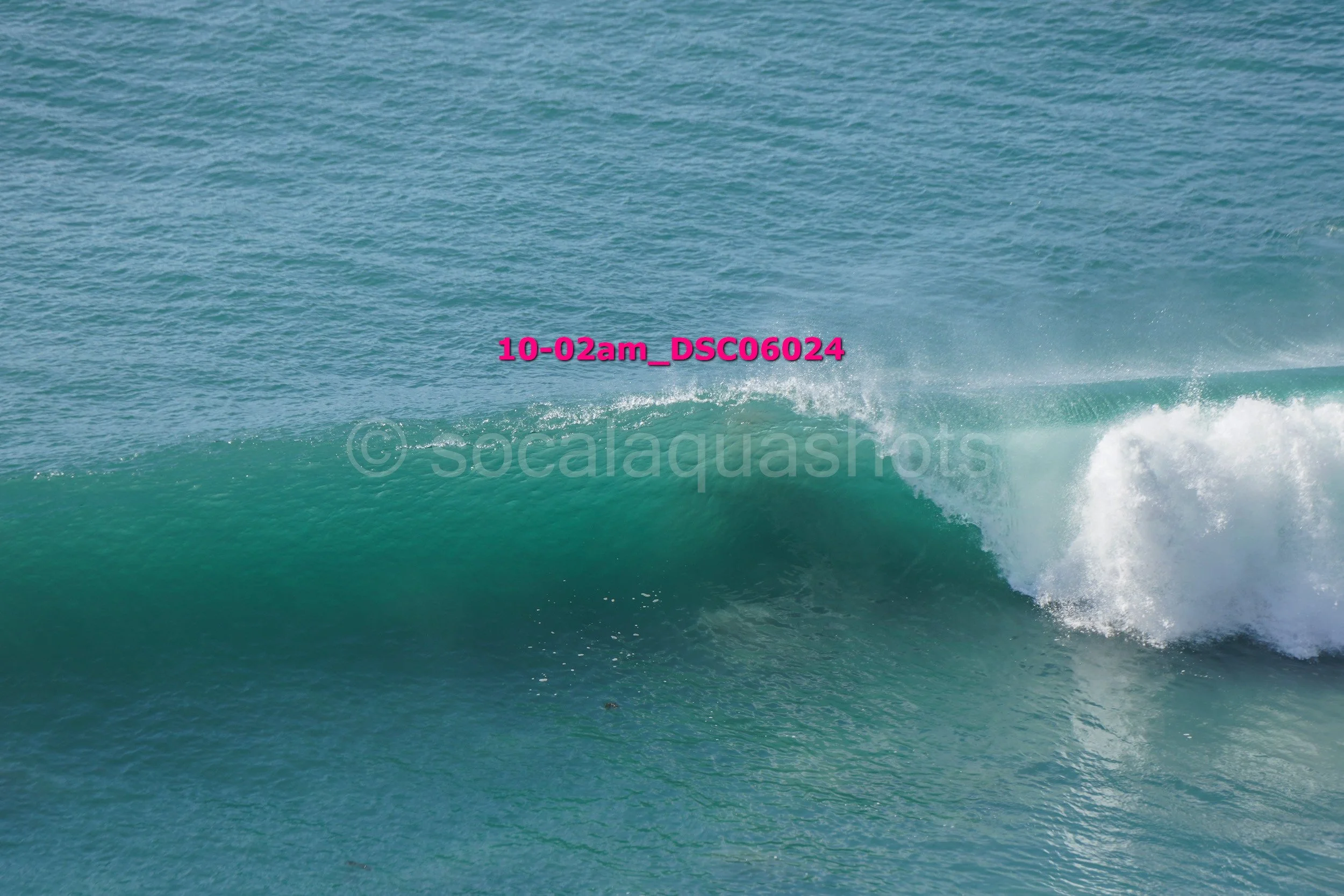 Ocean wave with visible crest and spray, blue and teal water