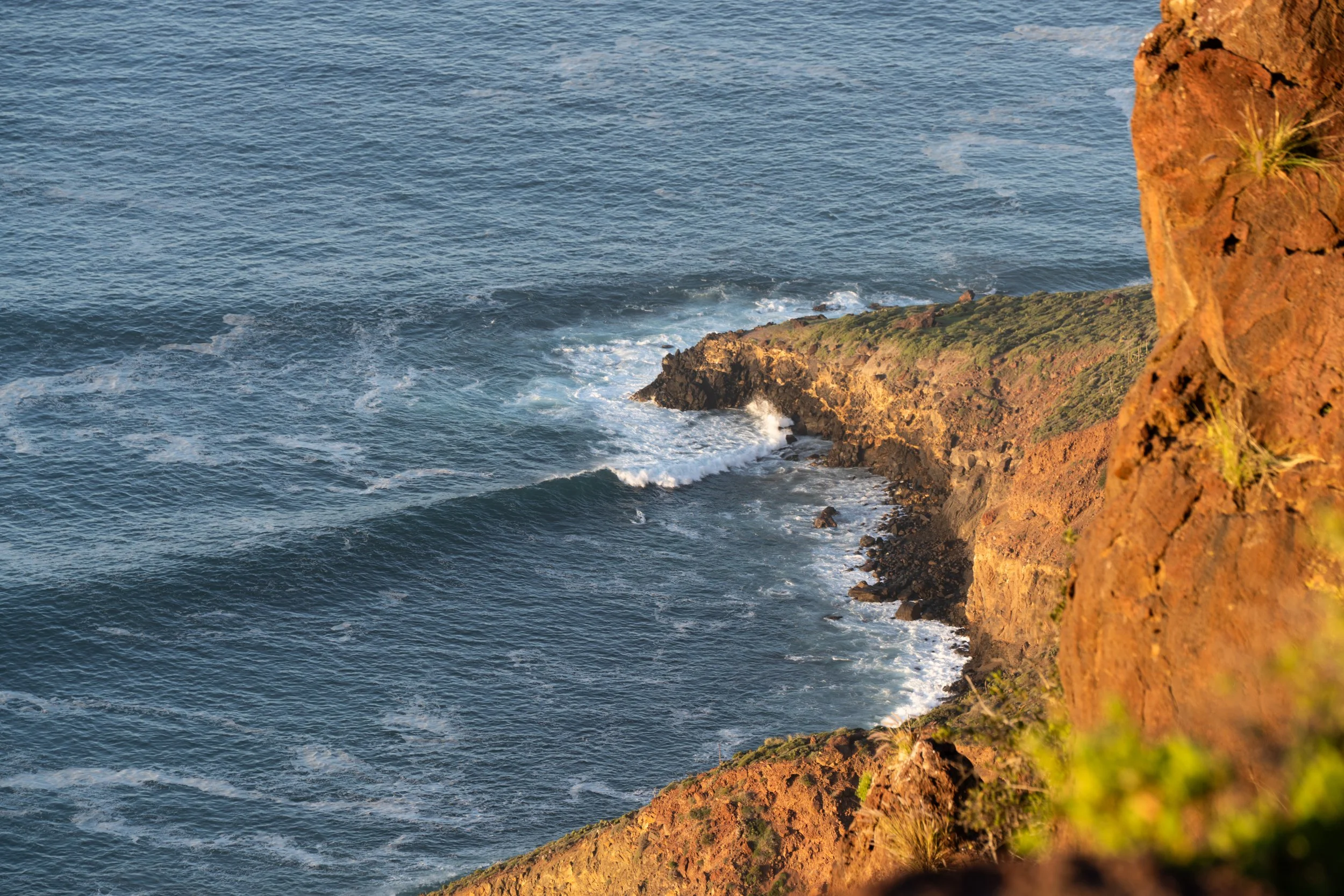 Cliffside view of the ocean with waves crashing against the rocky shore and a slope with sparse vegetation.