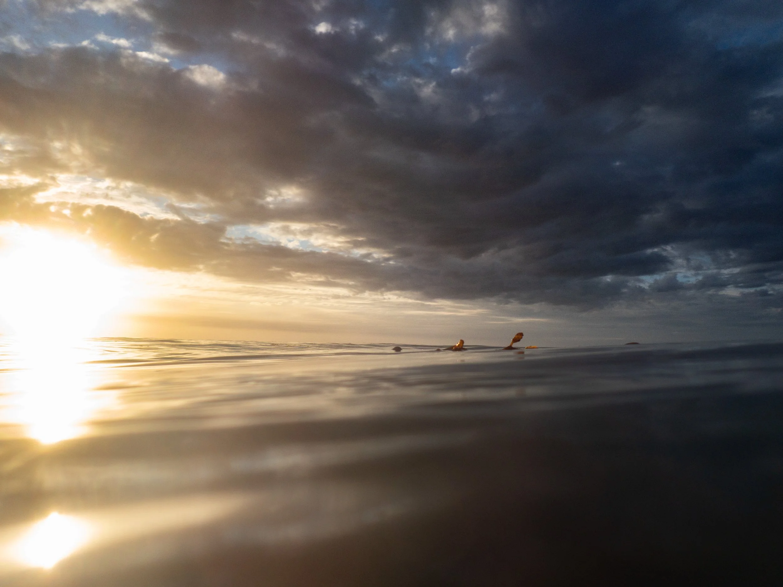 Sunset over the ocean with dark clouded sky, view partially underwater showing water surface and some seaweed or coral.