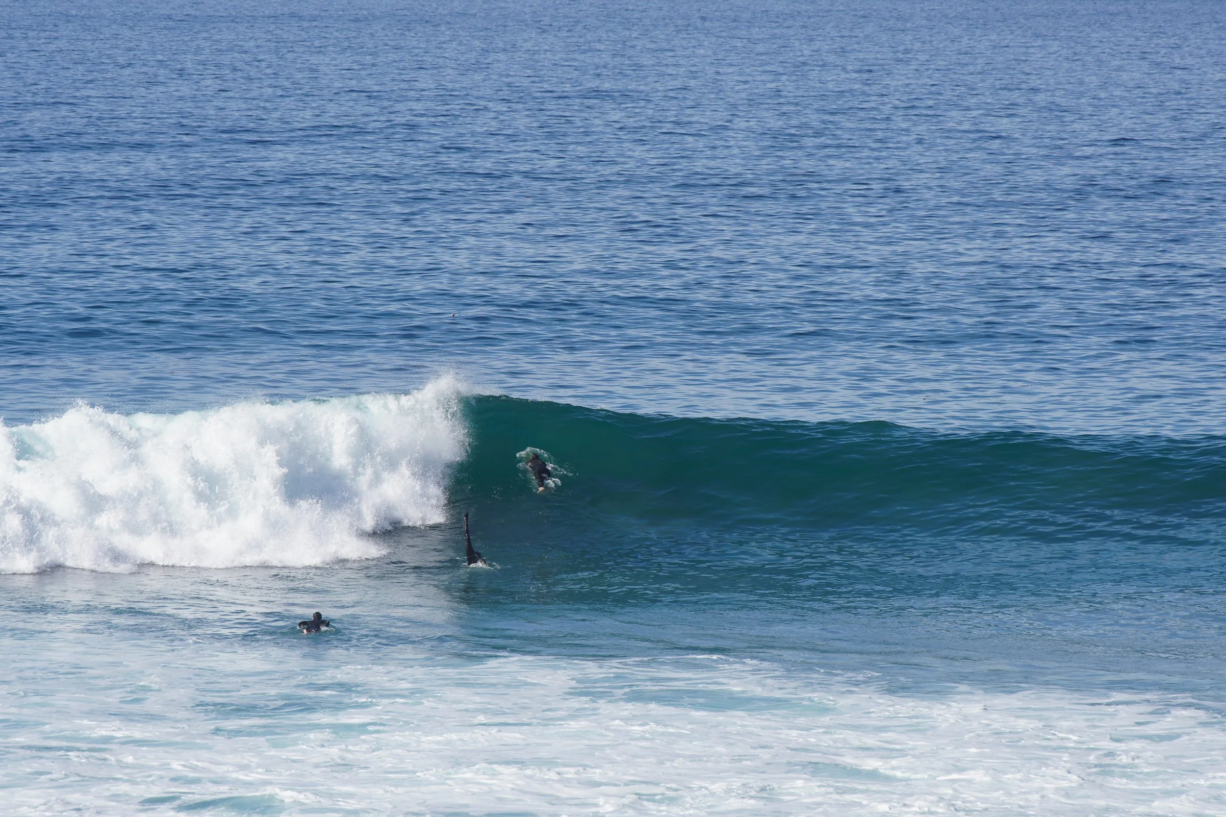 Two surfers riding a wave in the ocean.