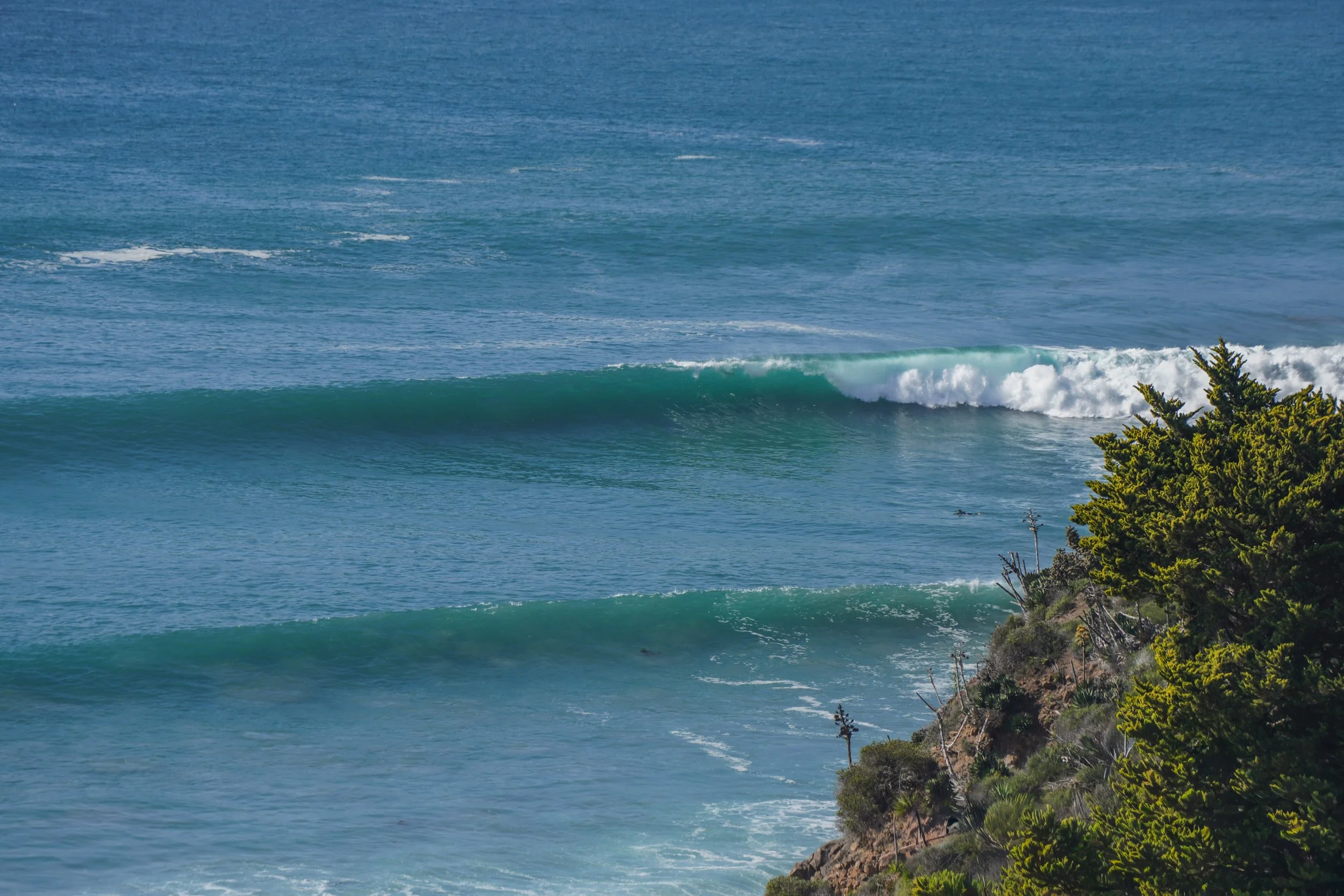 A view of ocean waves breaking near the shoreline with green trees in the foreground.