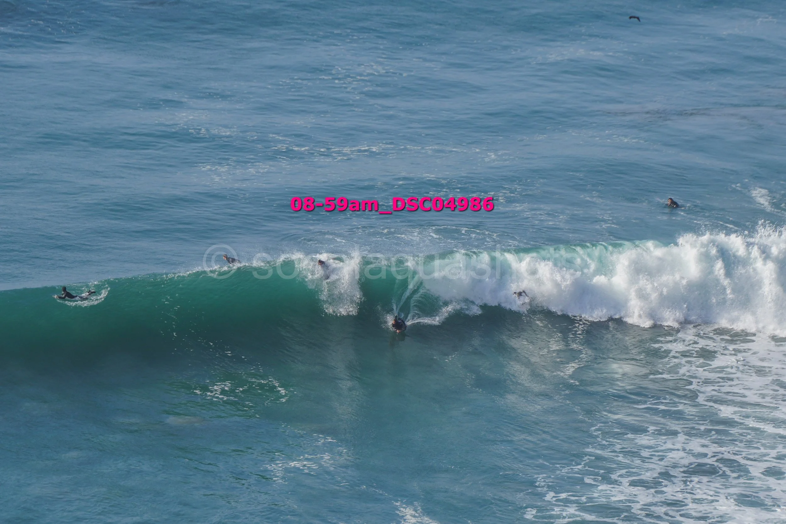 Multiple surfers riding and floating on ocean waves, with some in the water and others on their surfboards, large wave breaking in the foreground.
