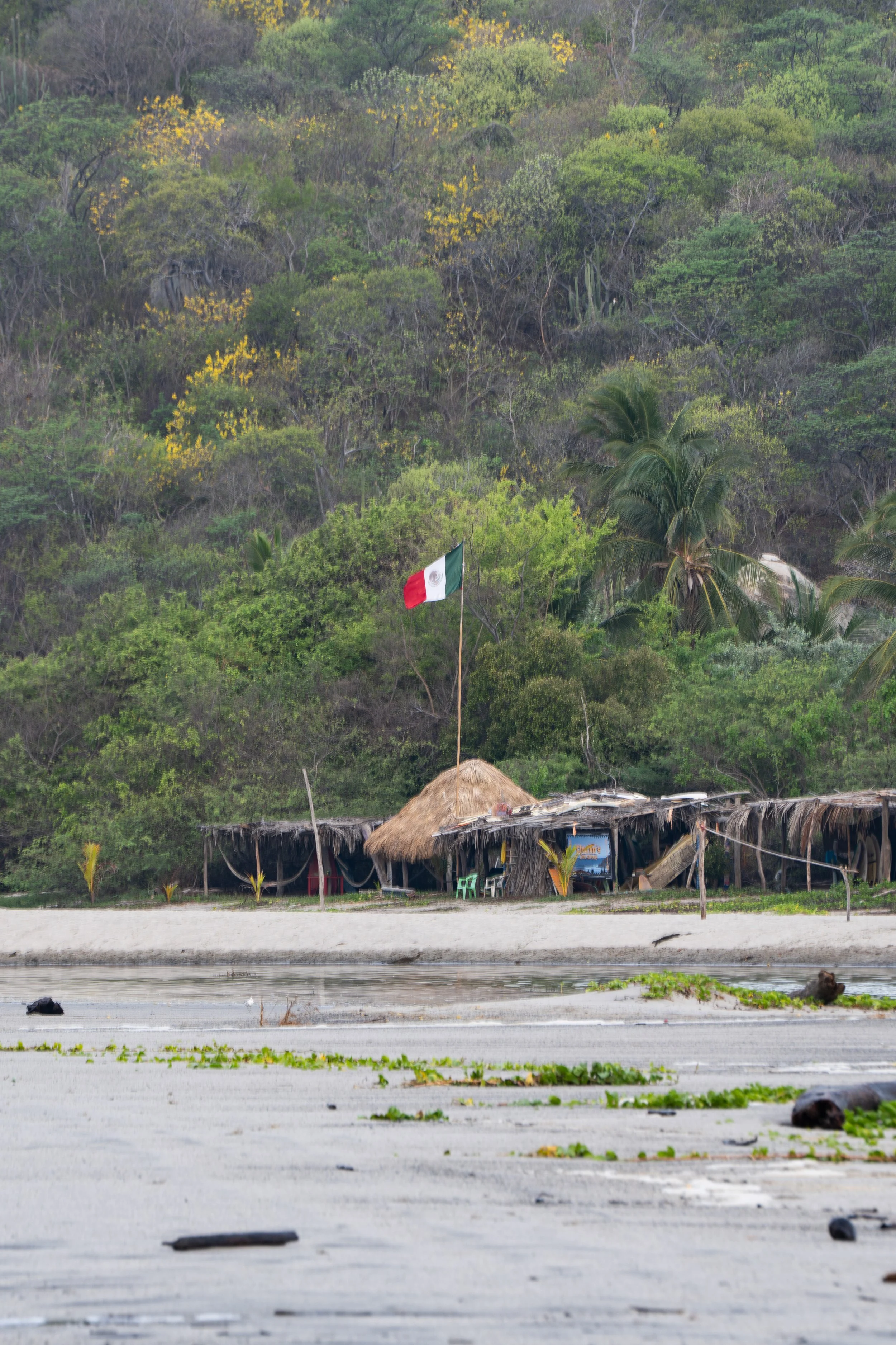 A thatched-roof hut with a Mexican flag in front, surrounded by lush green trees and vegetation, with a body of water and stones in the foreground.