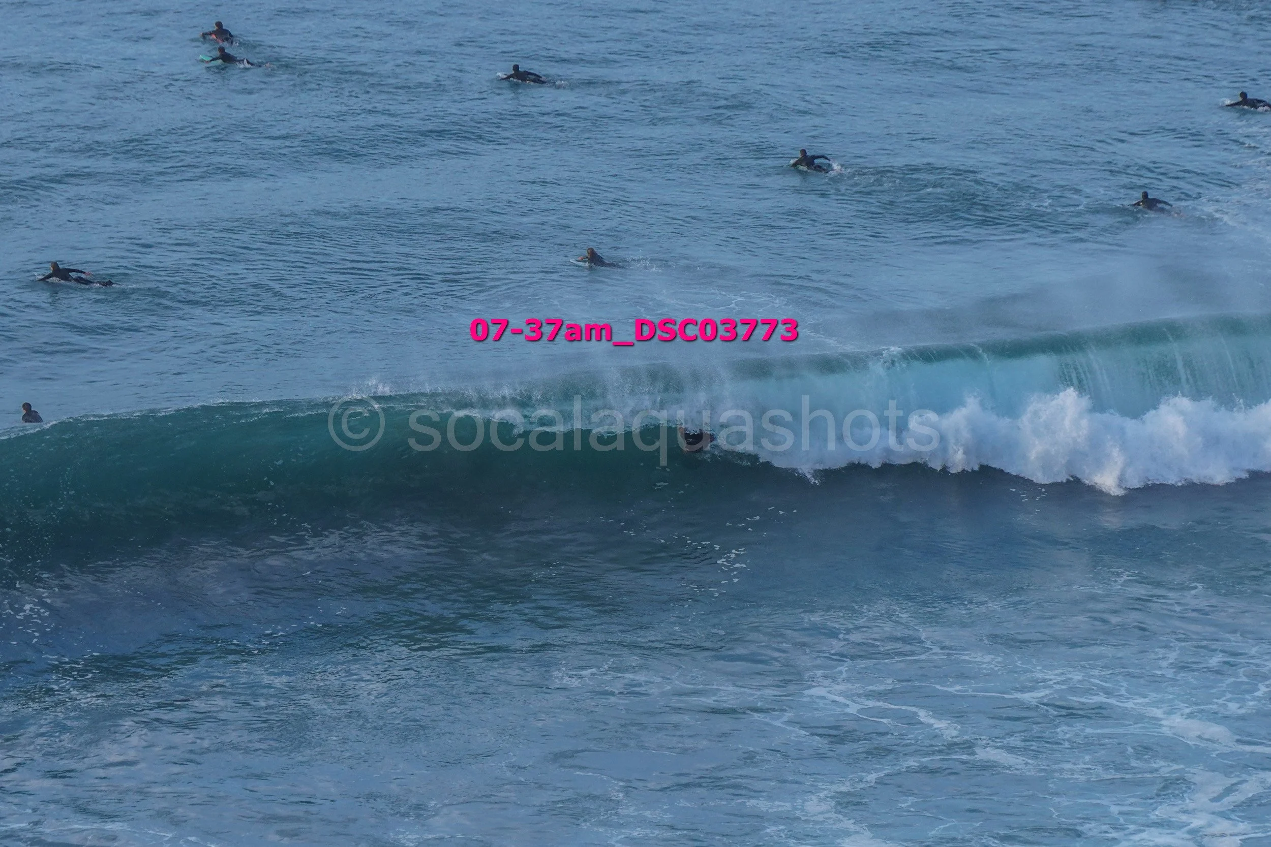 Surfers in the ocean riding waves and waiting in the water, with one person in the wave.
