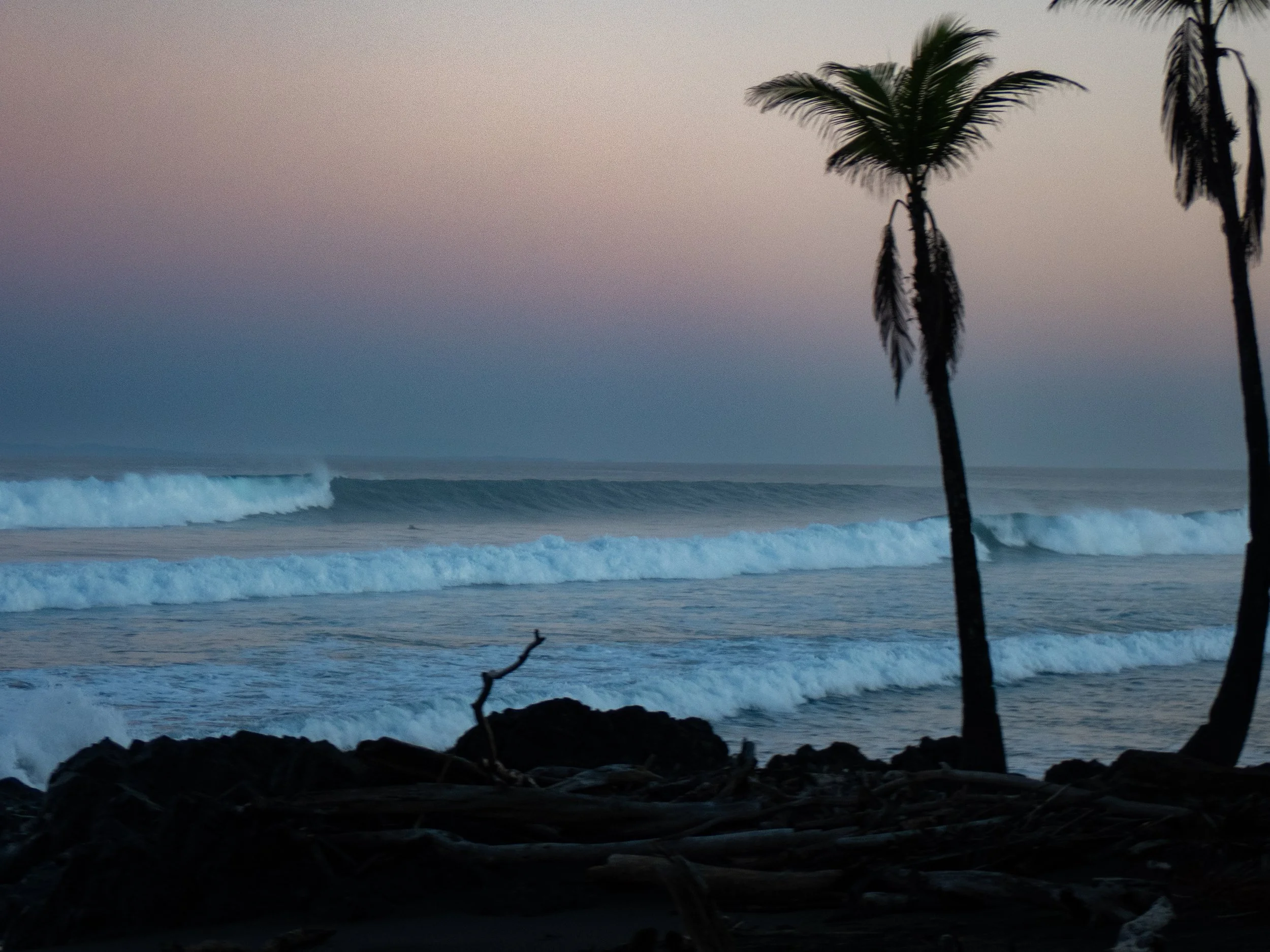 Two palm trees on a beach during sunset, with waves crashing onto the shore and rocks in the foreground.