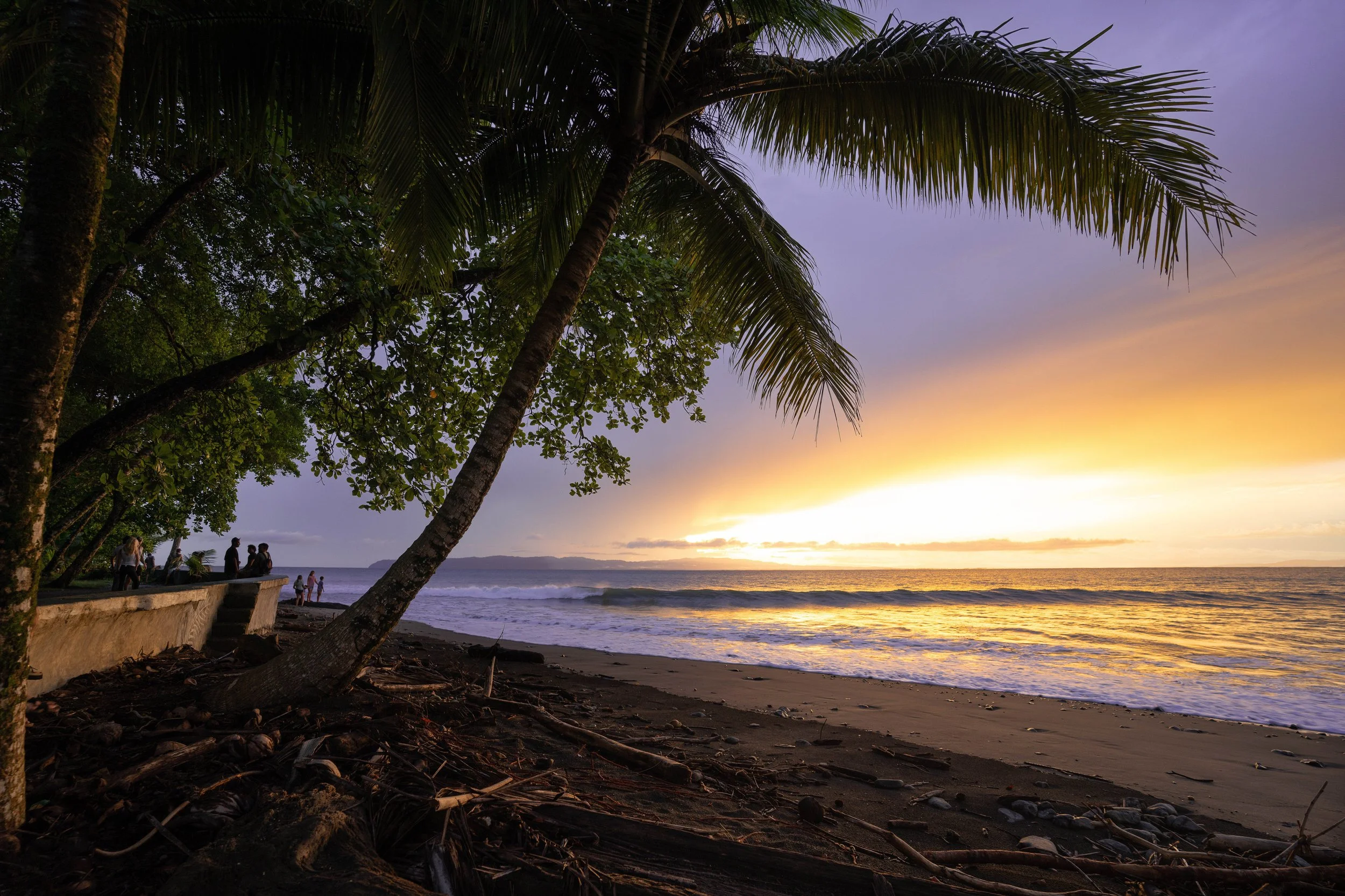 A tropical beach scene at sunset with tall palm trees, a sandy shoreline, and a few people walking or sitting along the beach. The sky is a mix of purple, yellow, and orange colors, reflecting on the ocean waves.