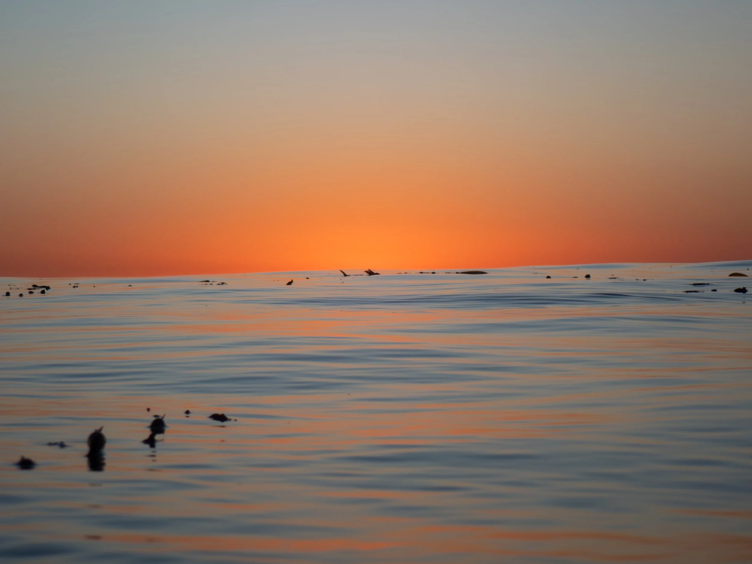 Sunset over calm ocean with scattered rocks and driftwood, orange and blue sky reflected in the water.