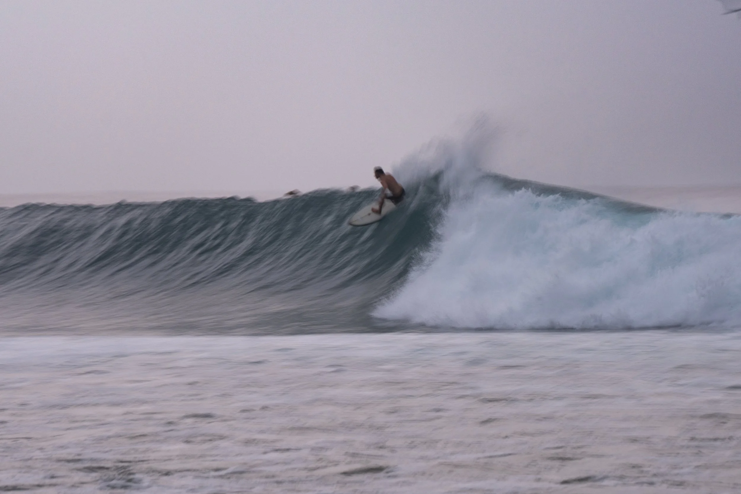 A surfer catching a wave at the beach during what appears to be early morning or late afternoon, with a pinkish hue in the sky.