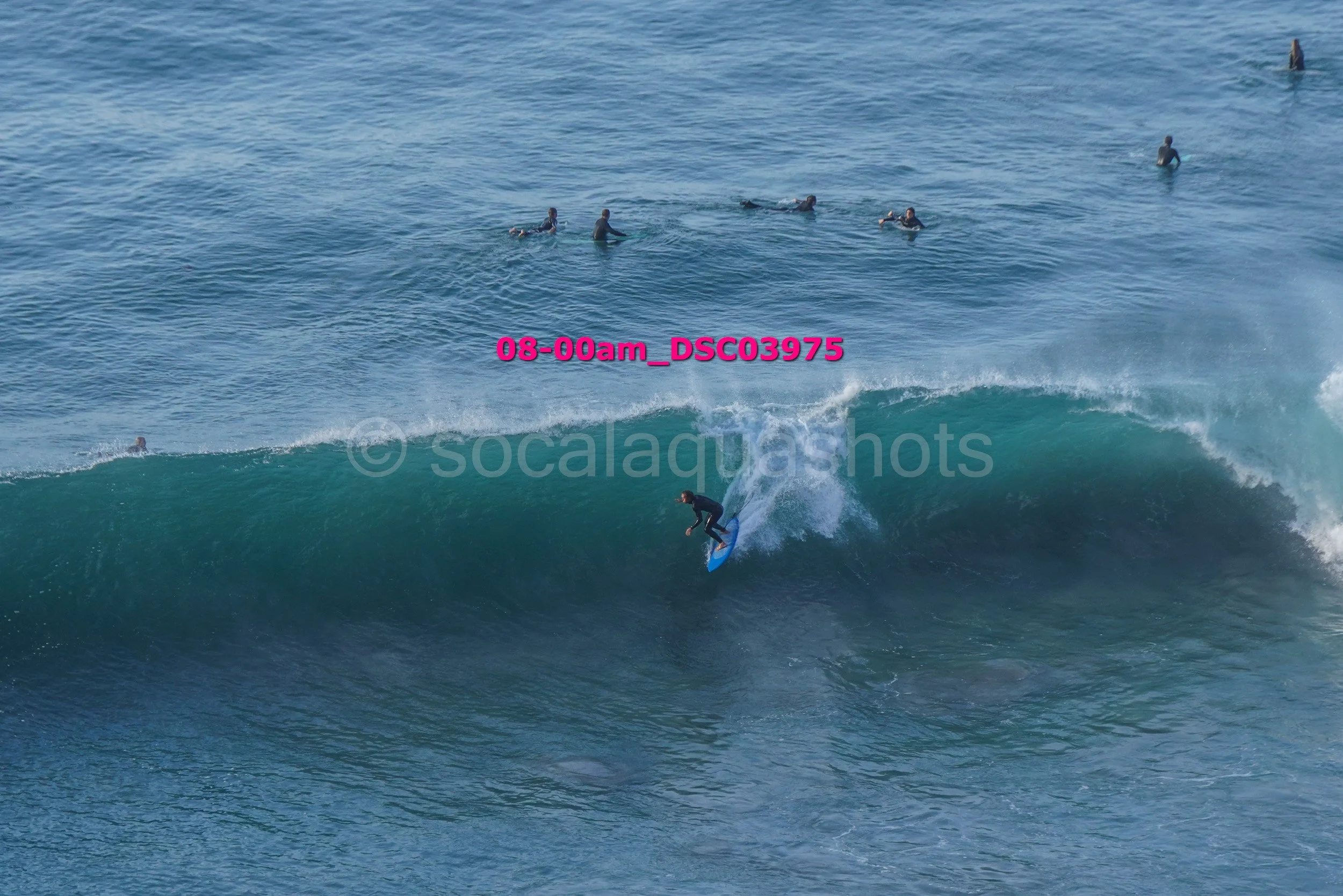 A surfer riding a wave while several other surfers are in the water in the background.