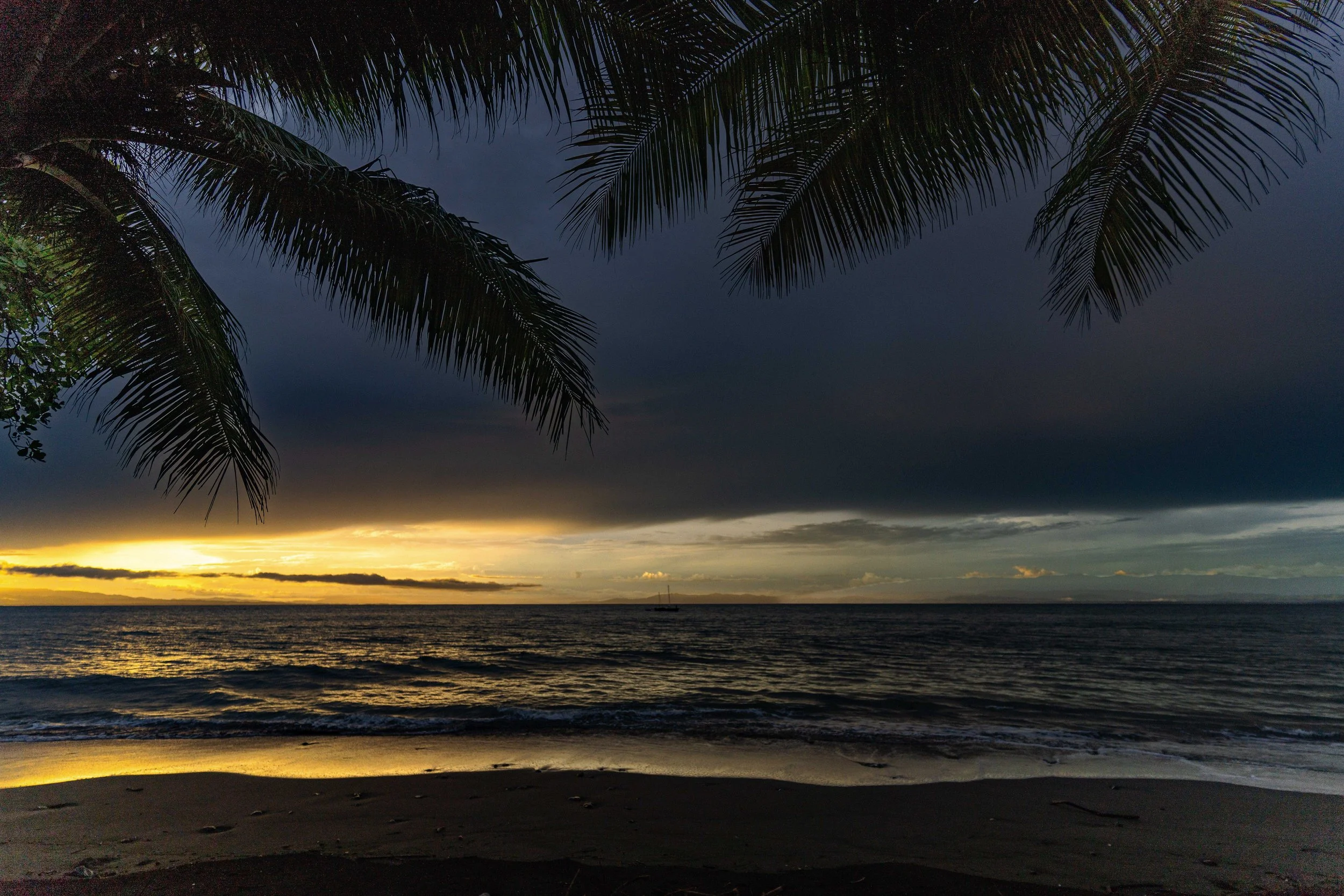 A sunset over the ocean with dark storm clouds and the silhouette of palm tree leaves in the foreground.