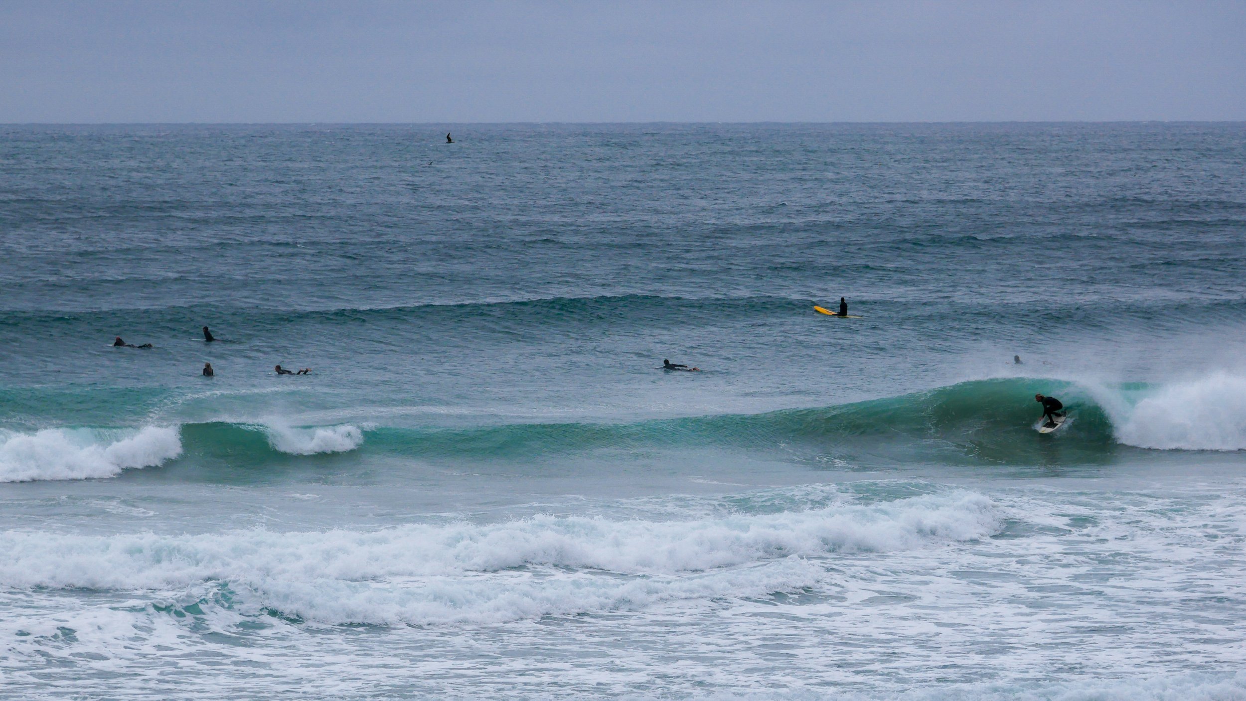 Surfers riding waves in the ocean