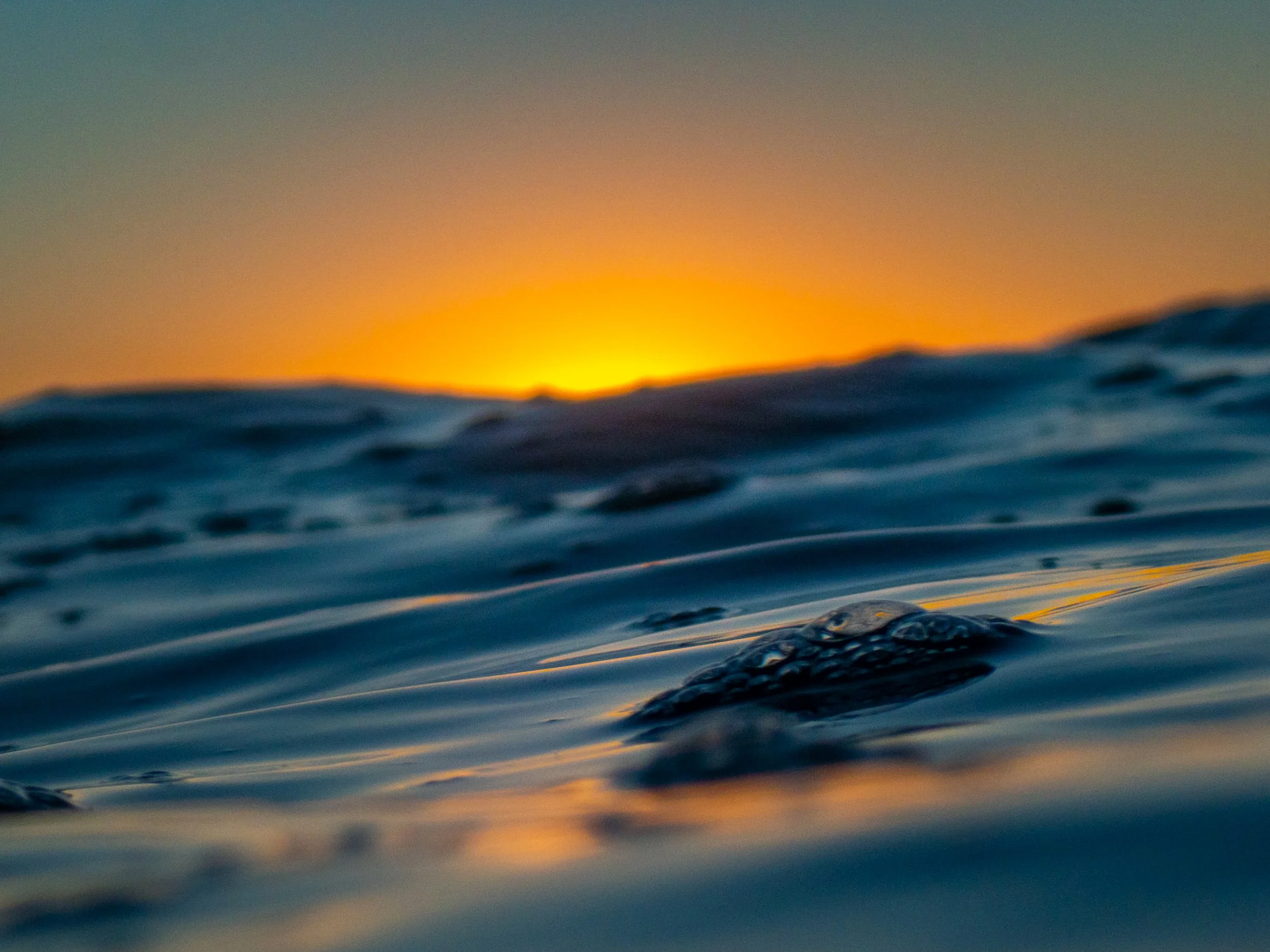 Close-up of ocean water with gentle ripples at sunset, with the sun setting on the horizon and casting an orange glow