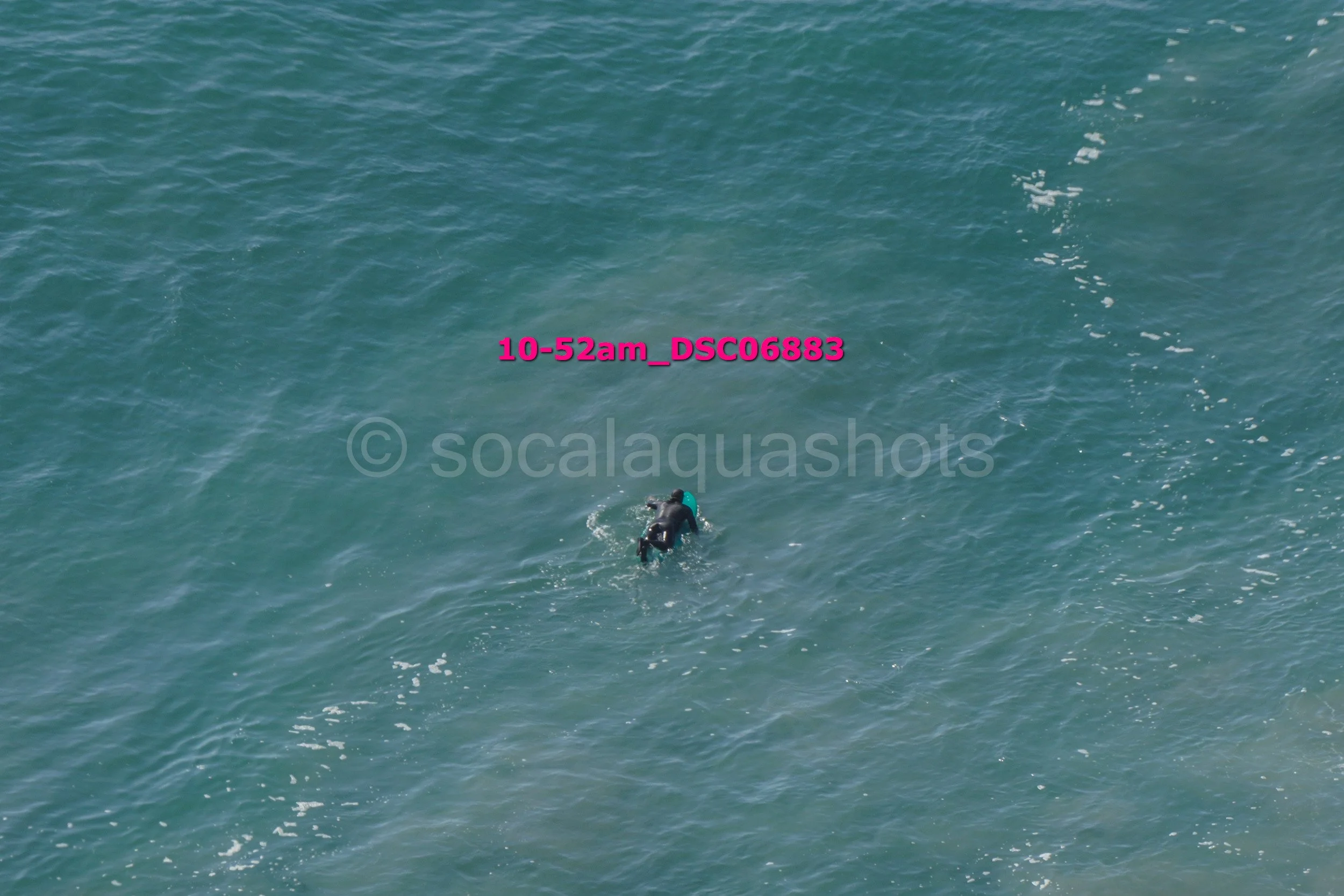 A person wearing a wetsuit is diving into the ocean, seen from above, with the water showing different shades of blue and small waves.