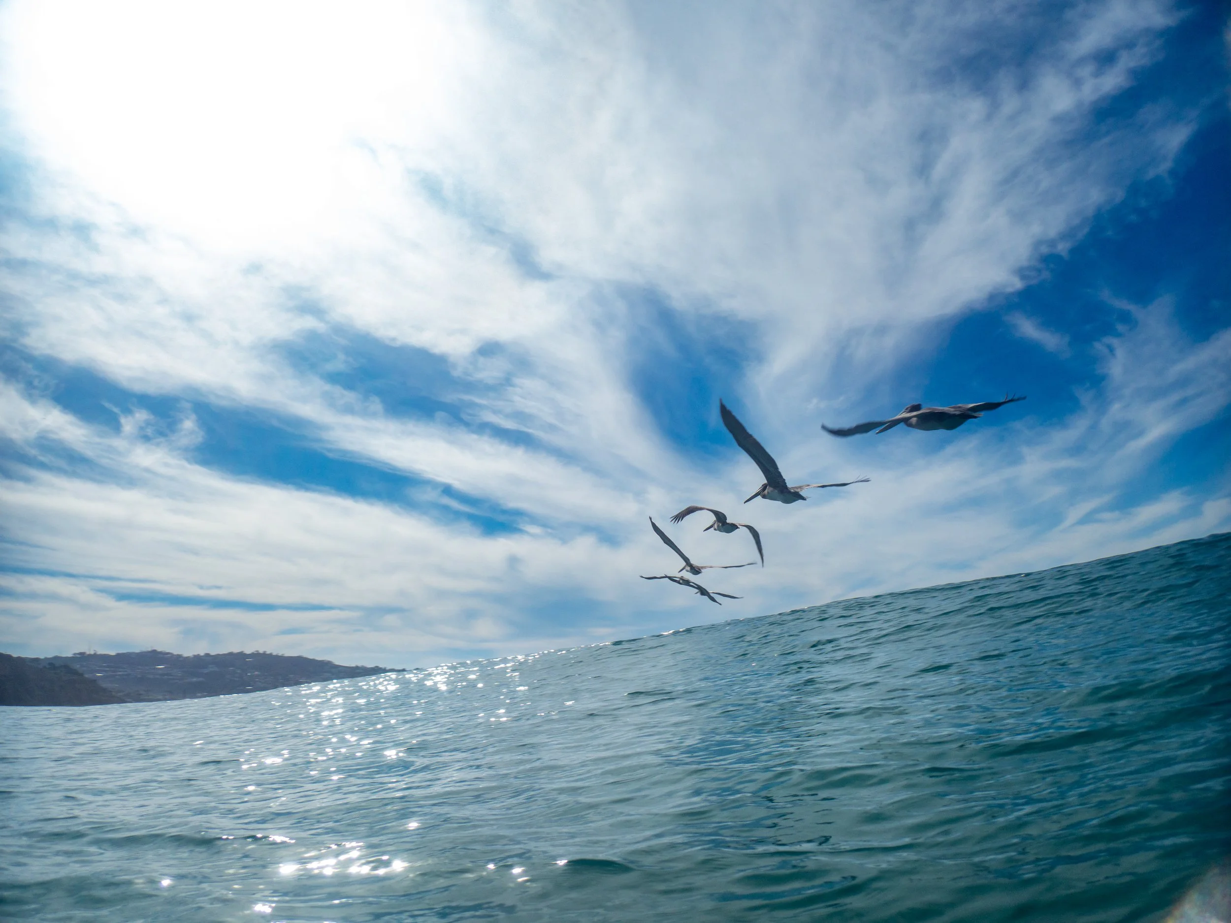 Seagulls flying above the ocean with a sunny sky and clouds.