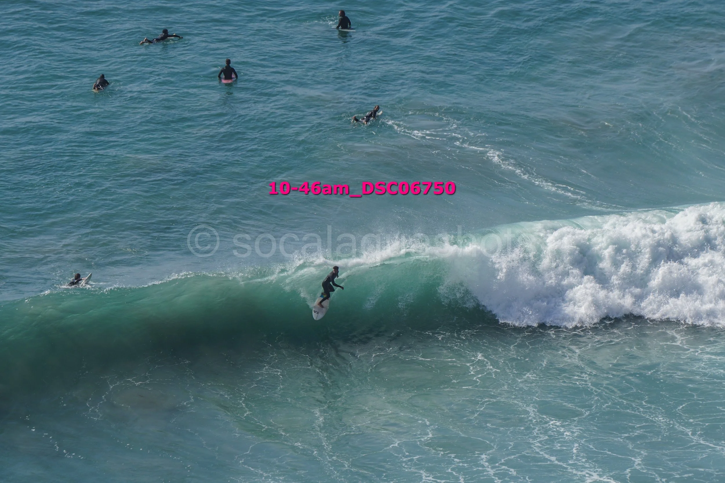 A person surfing on a wave in the ocean with several other surfers swimming and waiting in the water.
