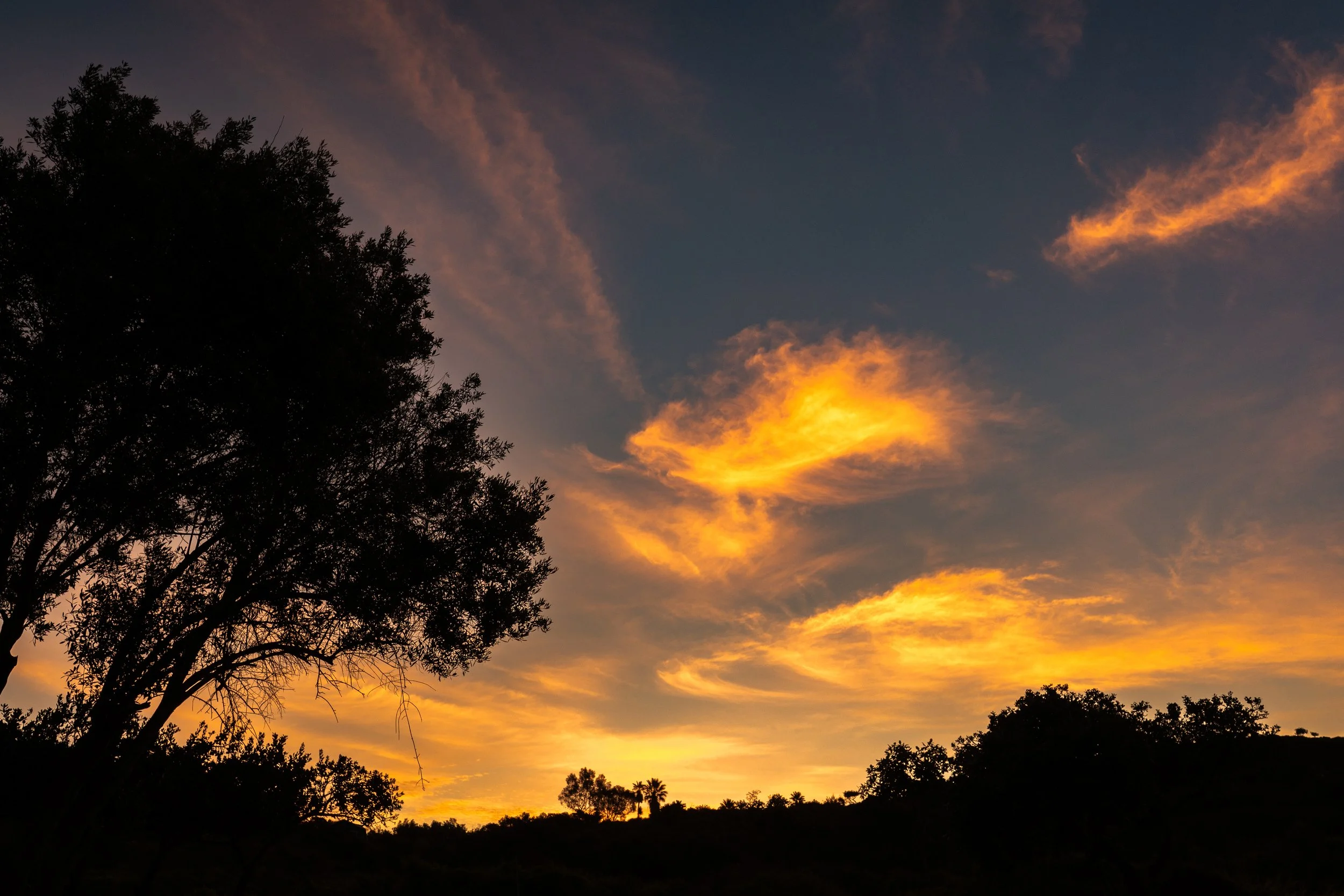 Sunset sky with orange clouds and silhouettes of trees and hills in the foreground.