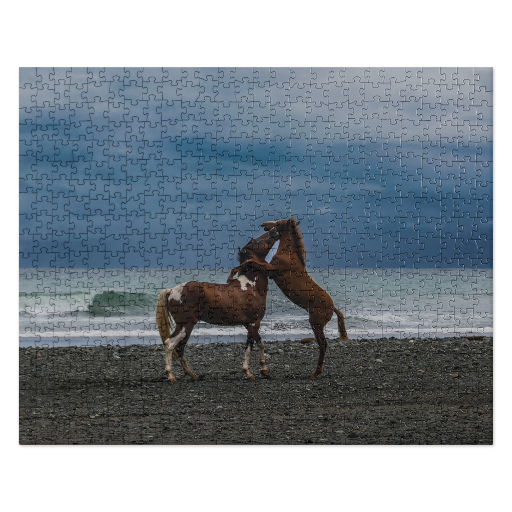 jigsaw-puzzle-520-pieces-front-6802e1c51ca5c.png