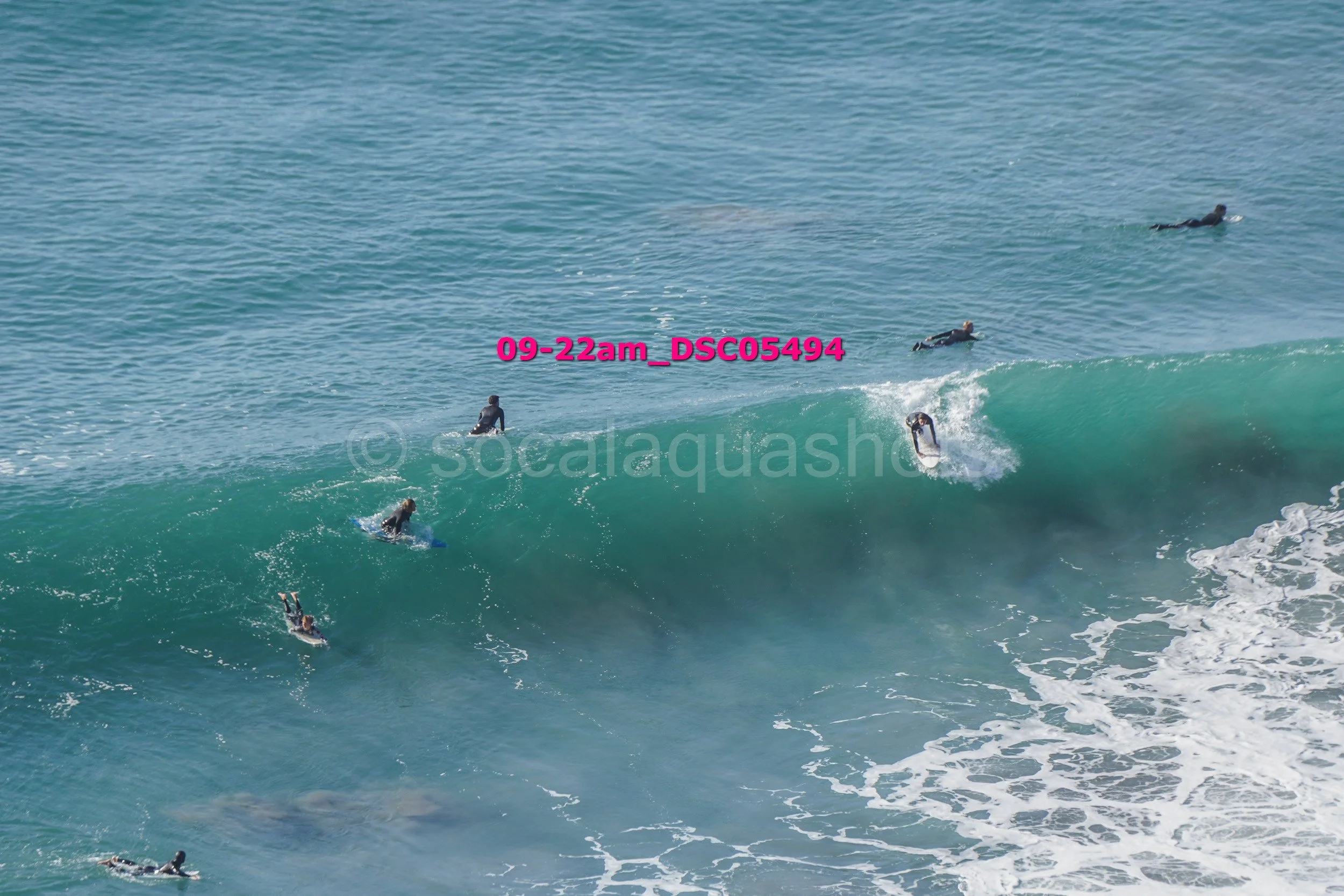 Multiple surfers in wetsuits riding and waiting on ocean waves with a clear blue sky.