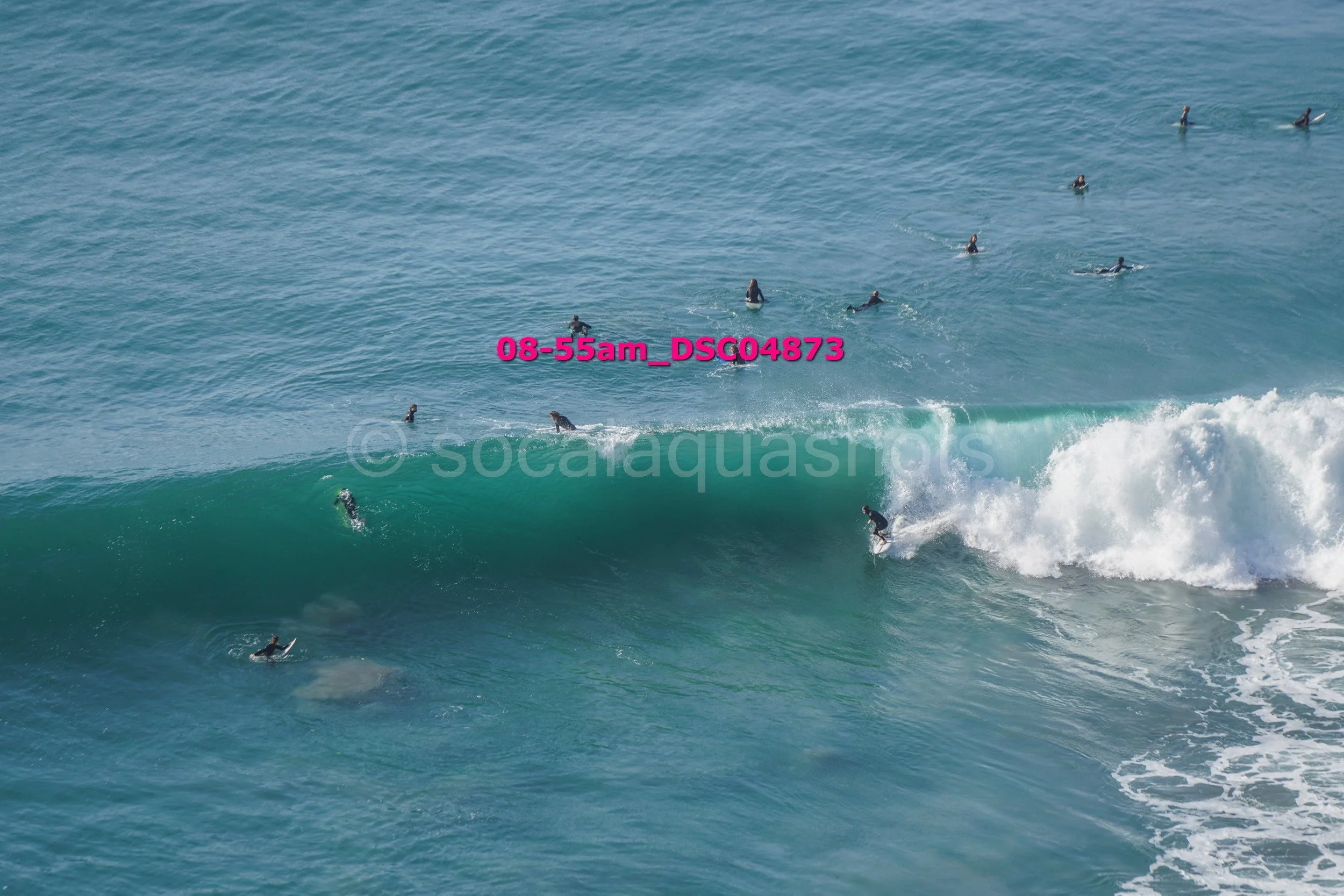 A group of surfers in wetsuits riding and waiting for waves in the ocean on a sunny day.