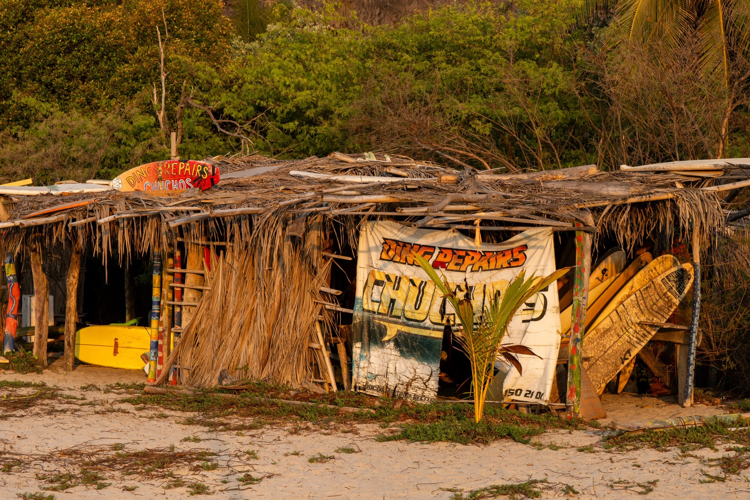 DSC08484.jpg
