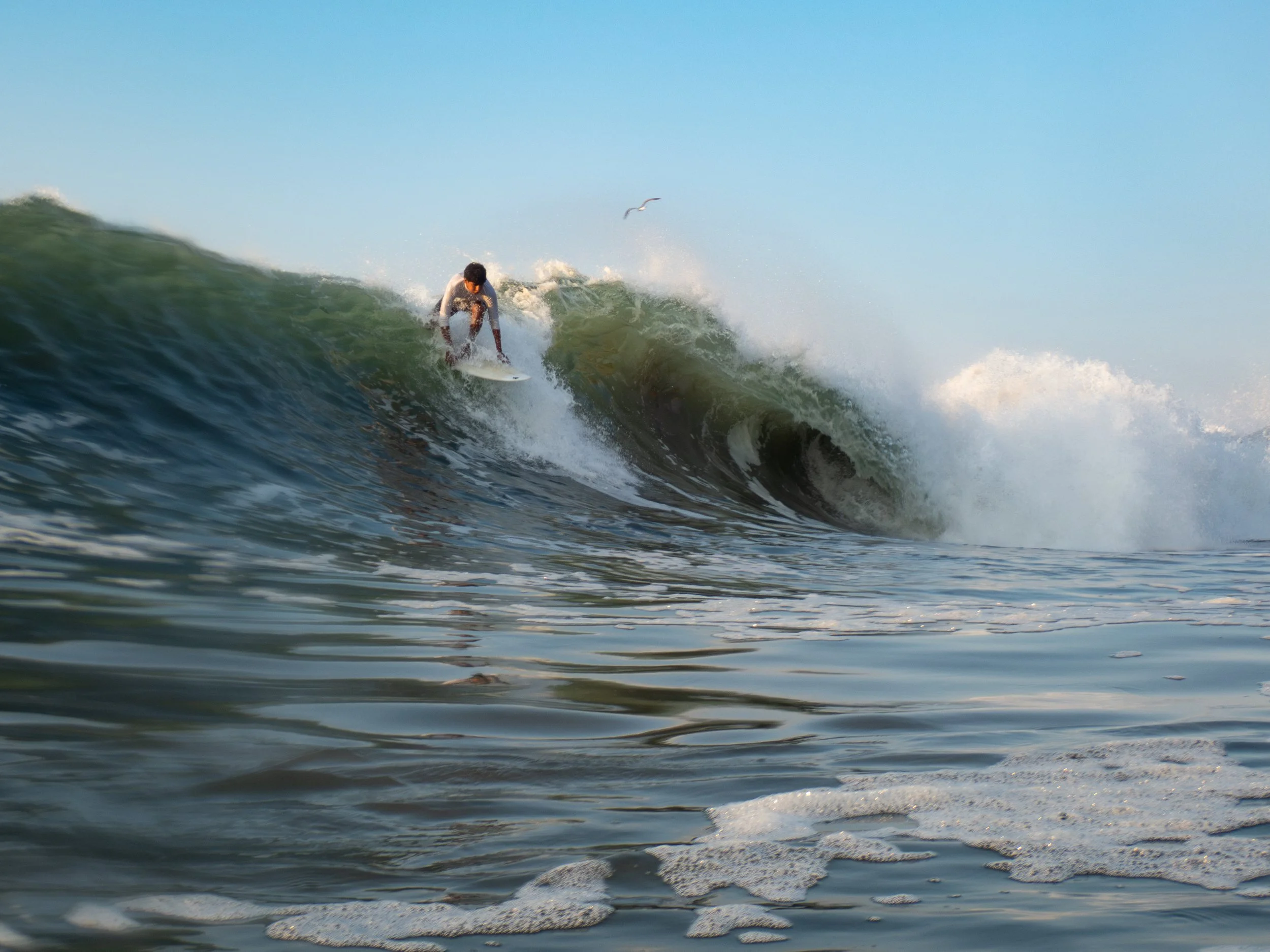 A person surfing on a wave in the ocean during daylight with a seagull flying overhead.